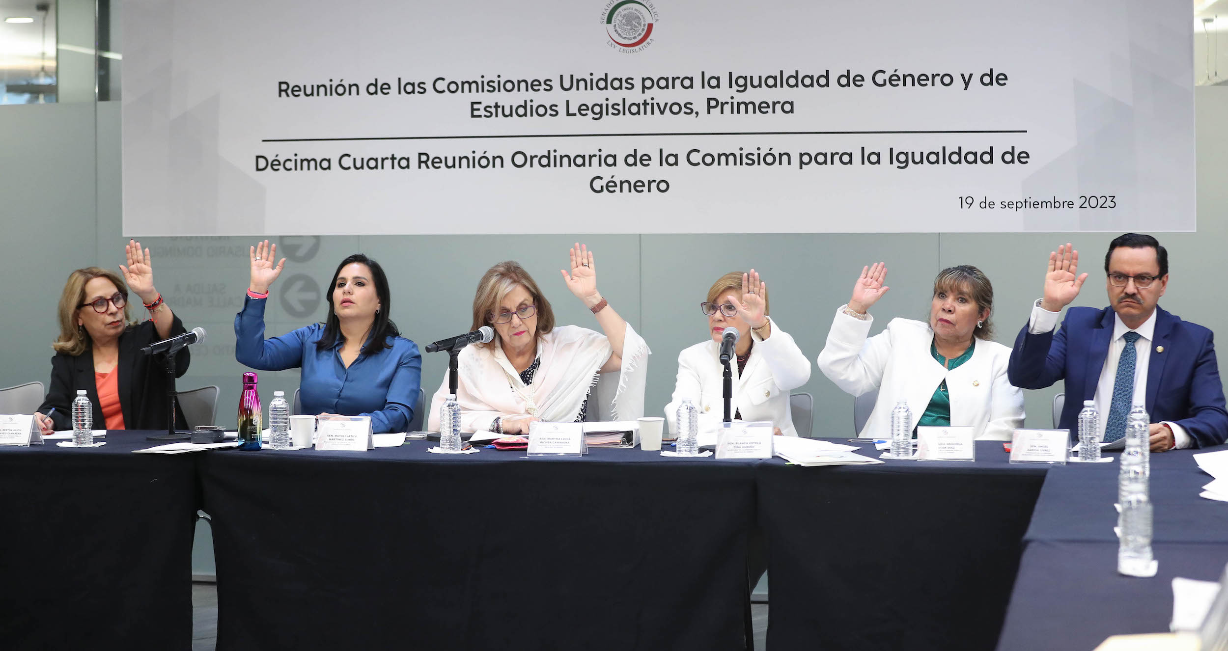 Comisiones Unidas para la Igualdad de Genero y de estudios Legislativos Primera-