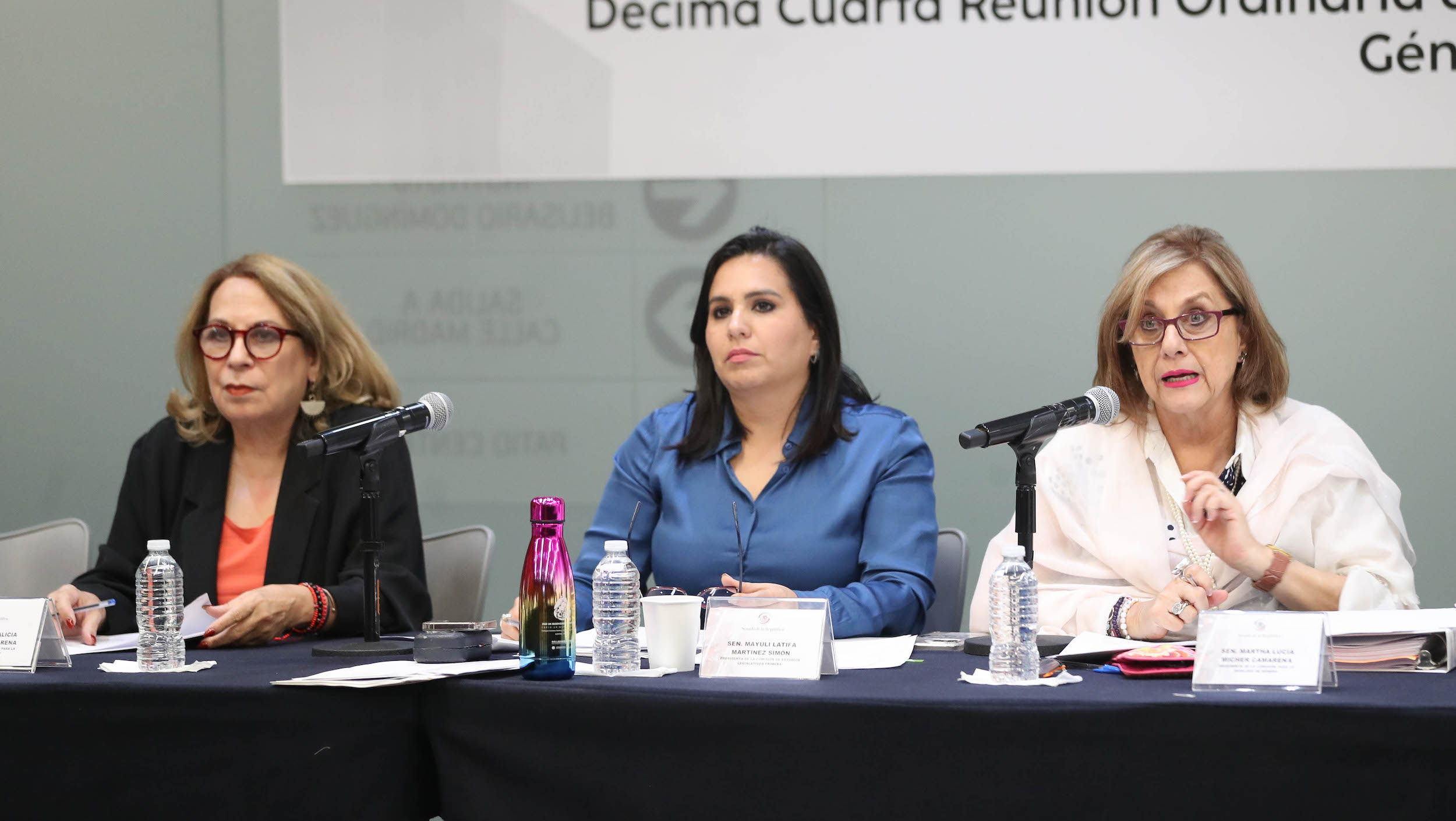 Comisiones Unidas para la Igualdad de Genero y de estudios Legislativos Primera-