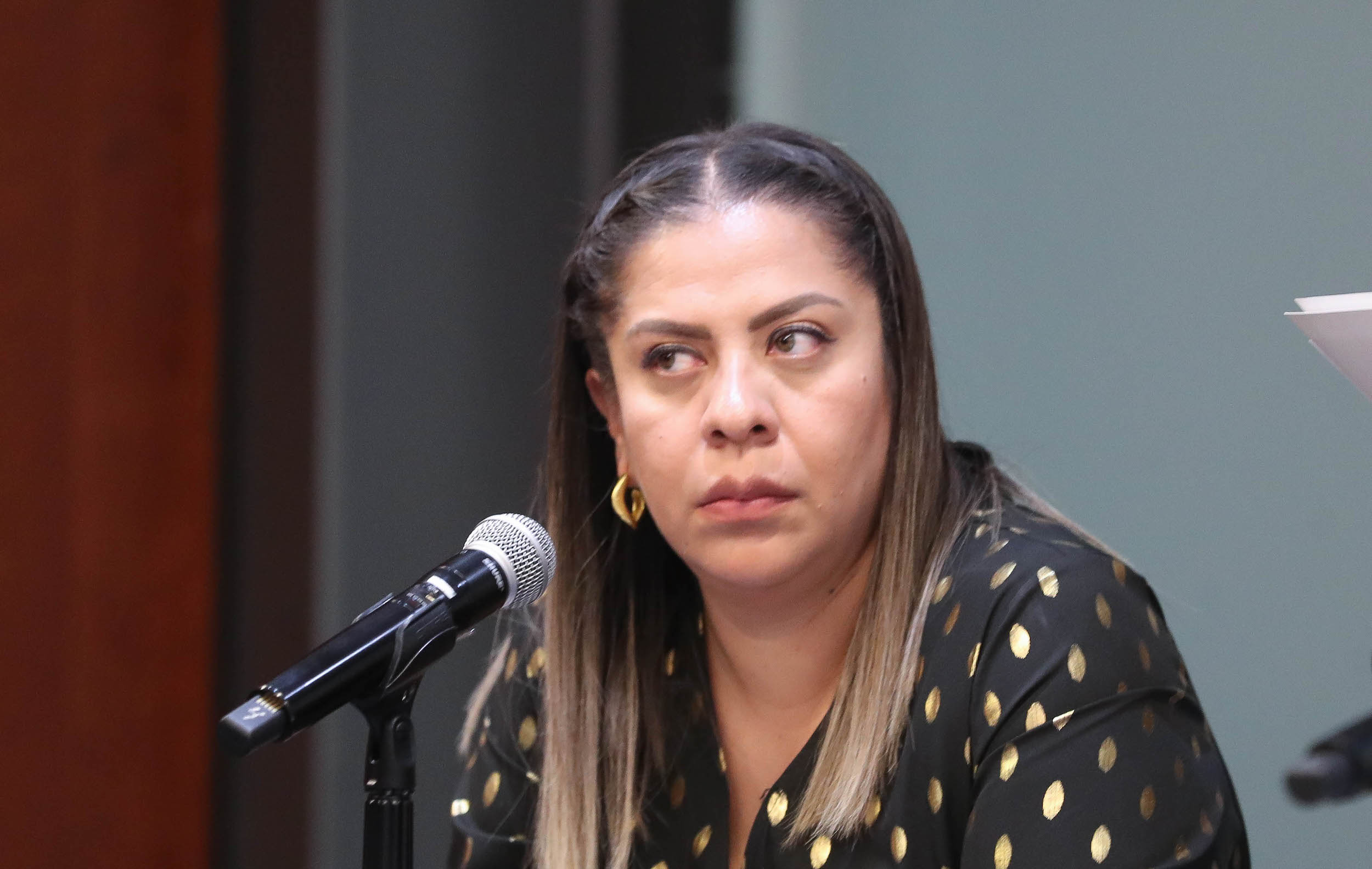 Comisiones Unidas para la Igualdad de Genero y de estudios Legislativos Primera-