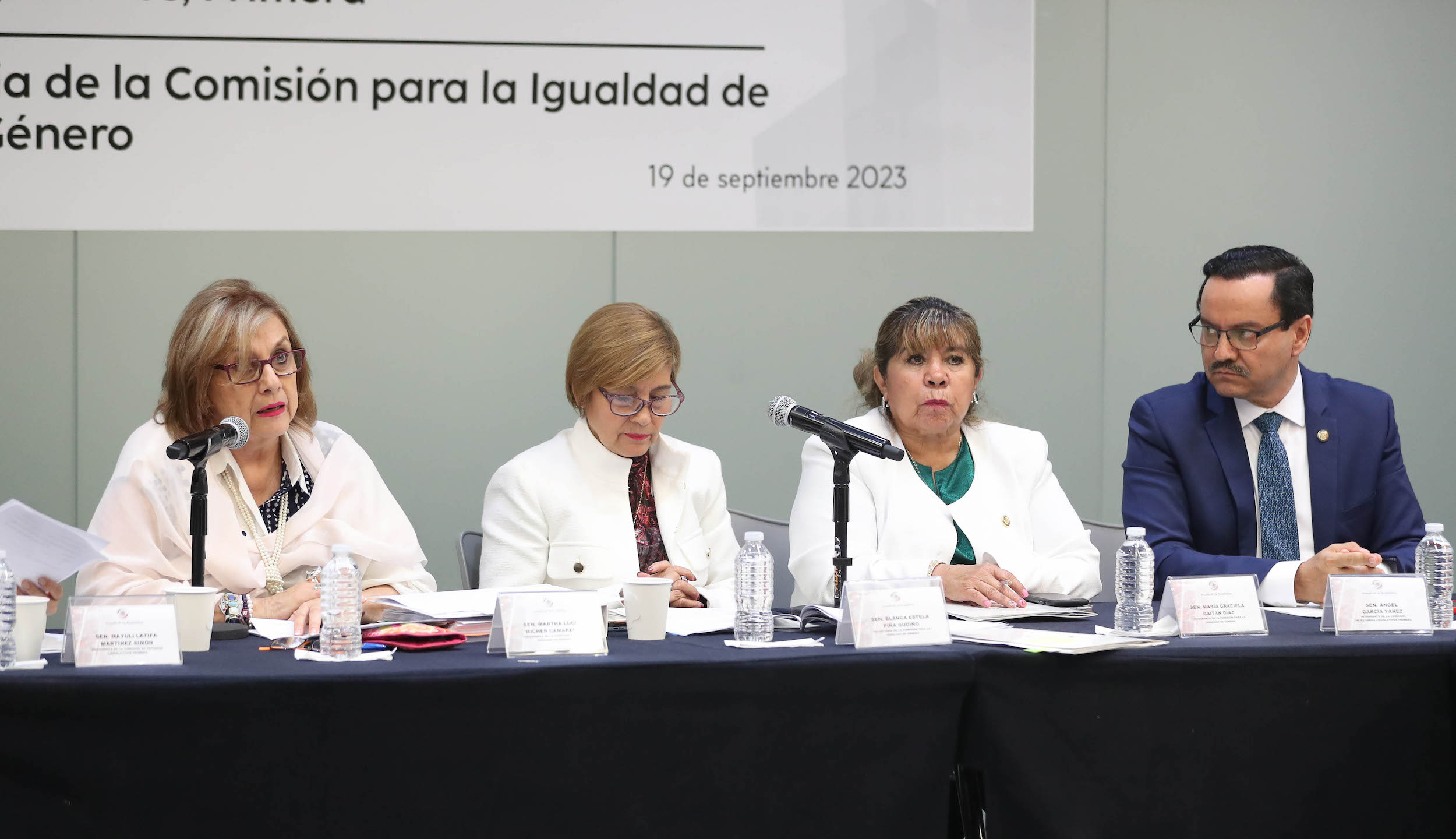 Comisiones Unidas para la Igualdad de Genero y de estudios Legislativos Primera-