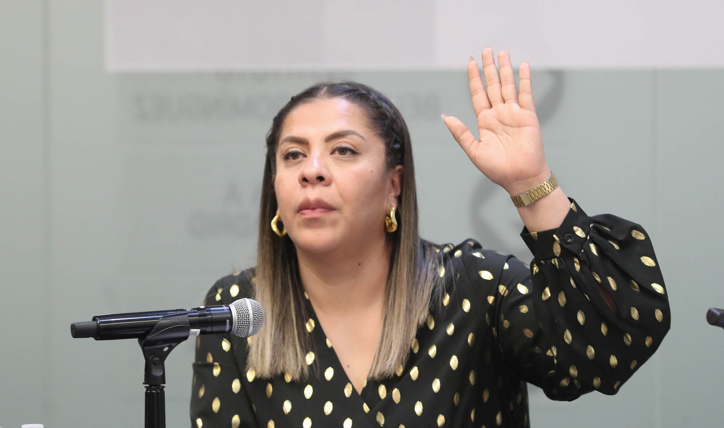 Reunioin de la Comisioin para la Igualdad de Geinero-
