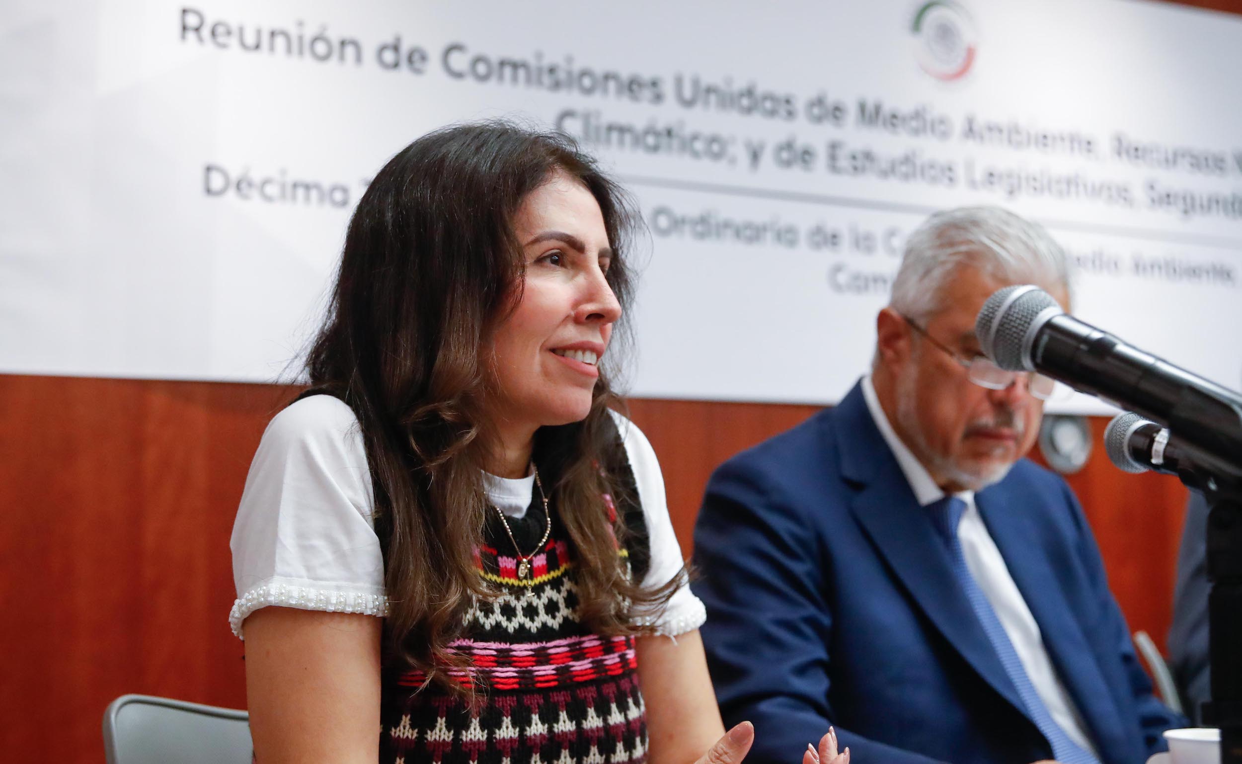 Comisiones Unidas de Medio Ambiente Recursos Naturales y Cambio Climatico-