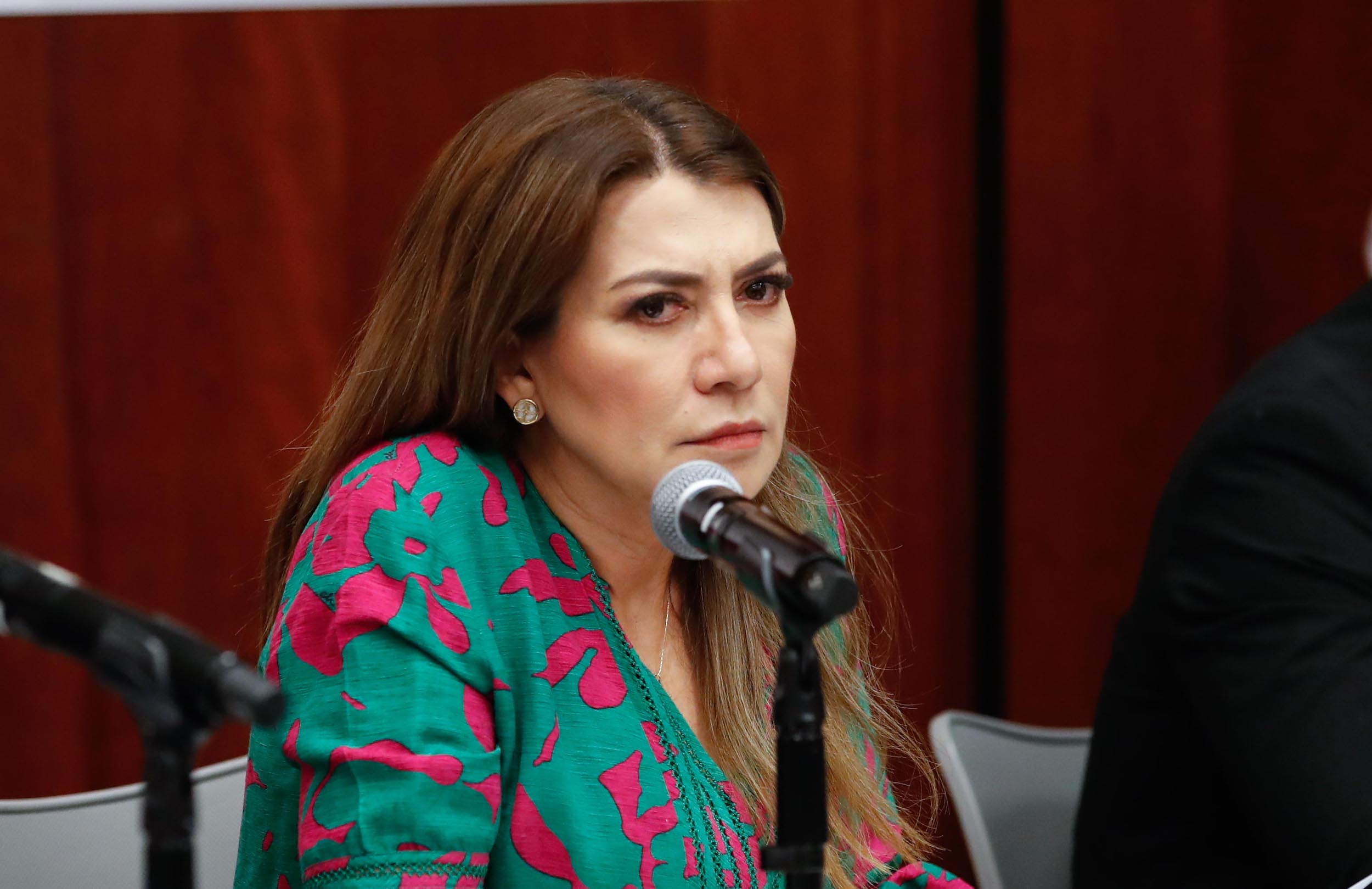 Comisiones Unidas de Medio Ambiente Recursos Naturales y Cambio Climatico-