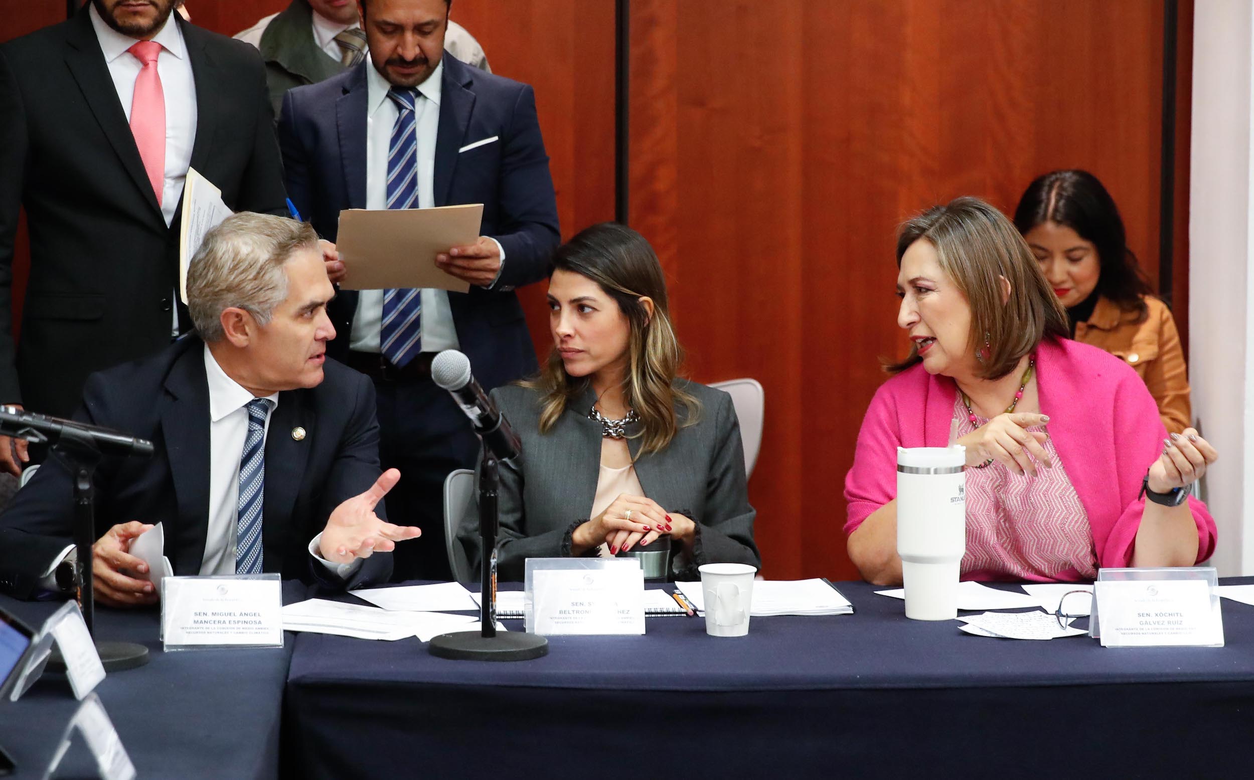 Comisiones Unidas de Medio Ambiente Recursos Naturales y Cambio Climatico-