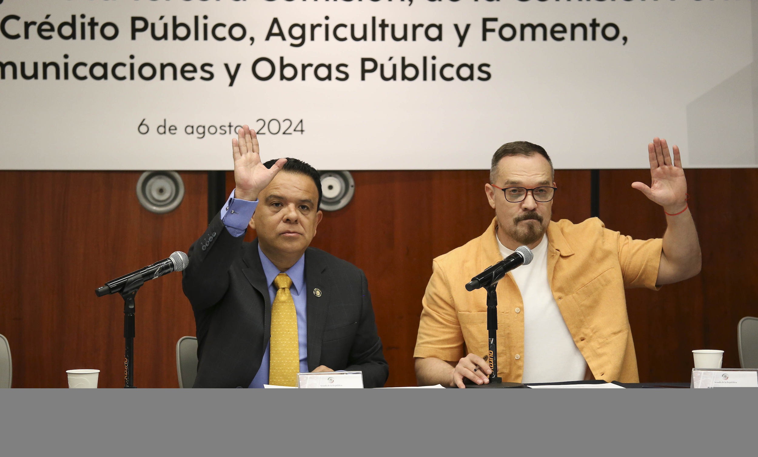 Reunion de la Tercera Comision de la Permanente-