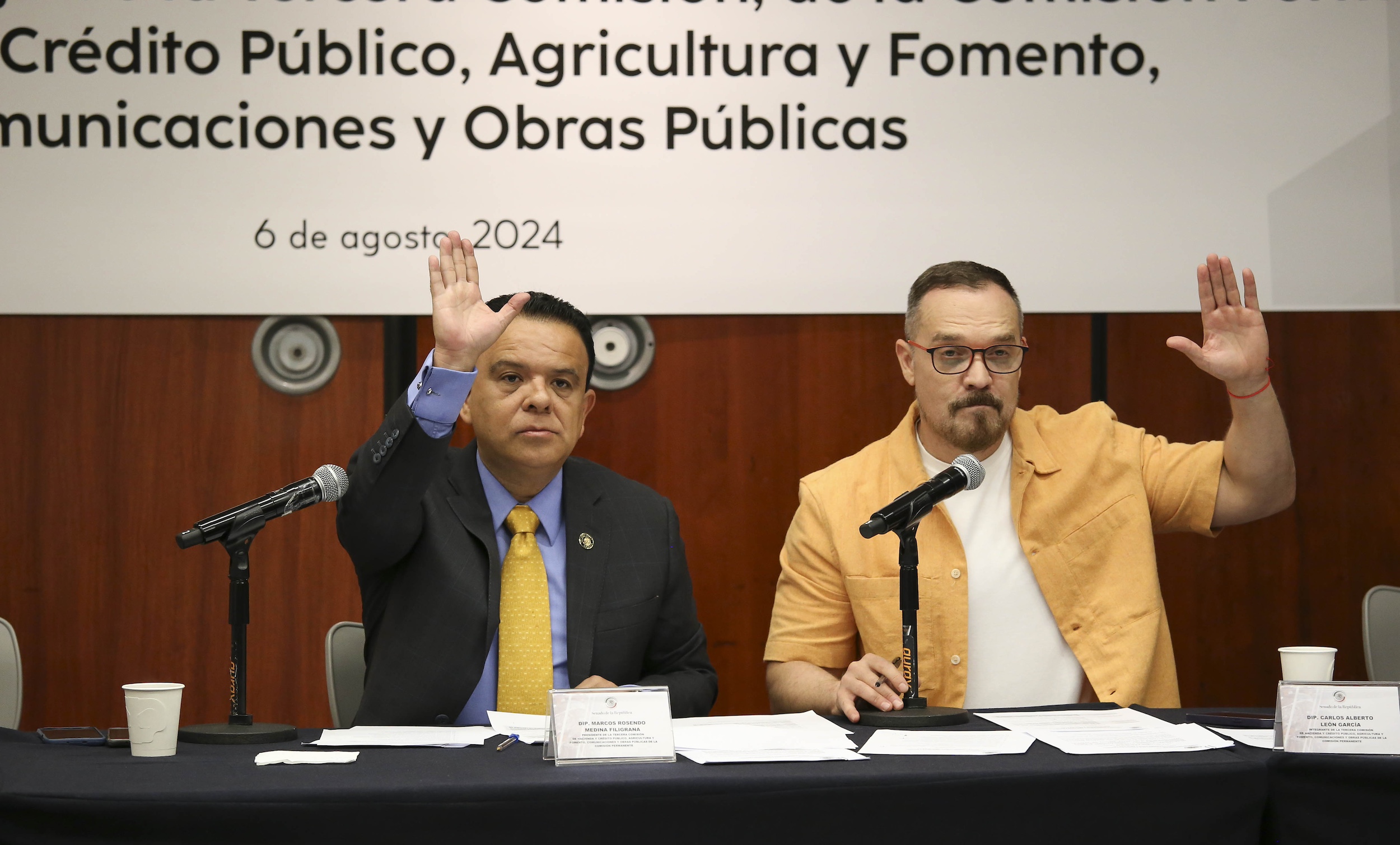 Reunion de la Tercera Comision de la Permanente-