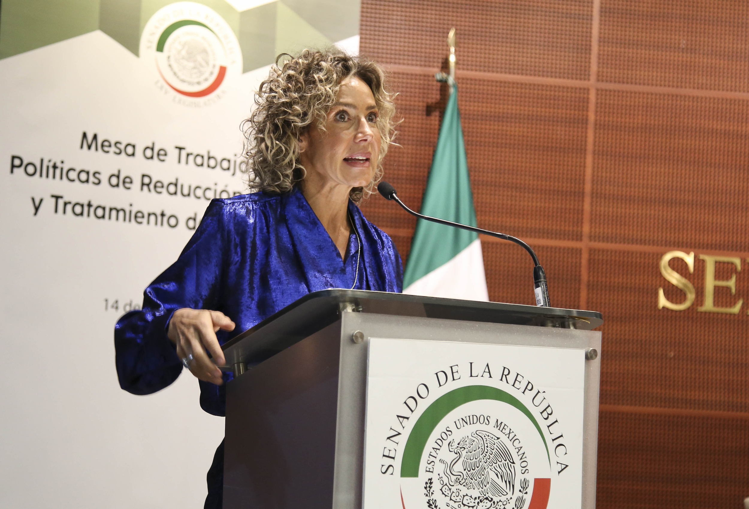 Mesa de Trabajo Politicas de Reduccion de Danos-