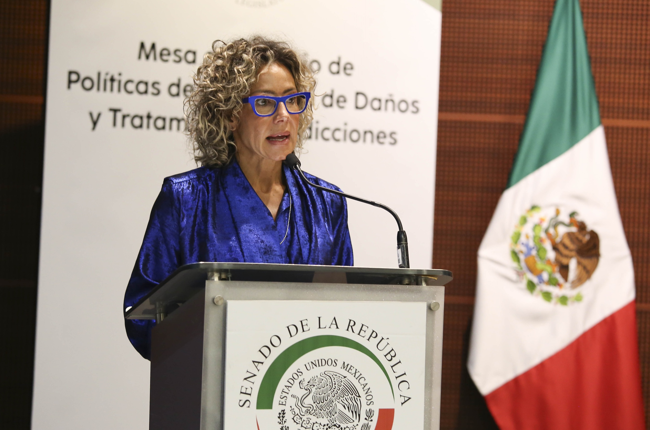 Mesa de Trabajo Politicas de Reduccion de Danos-