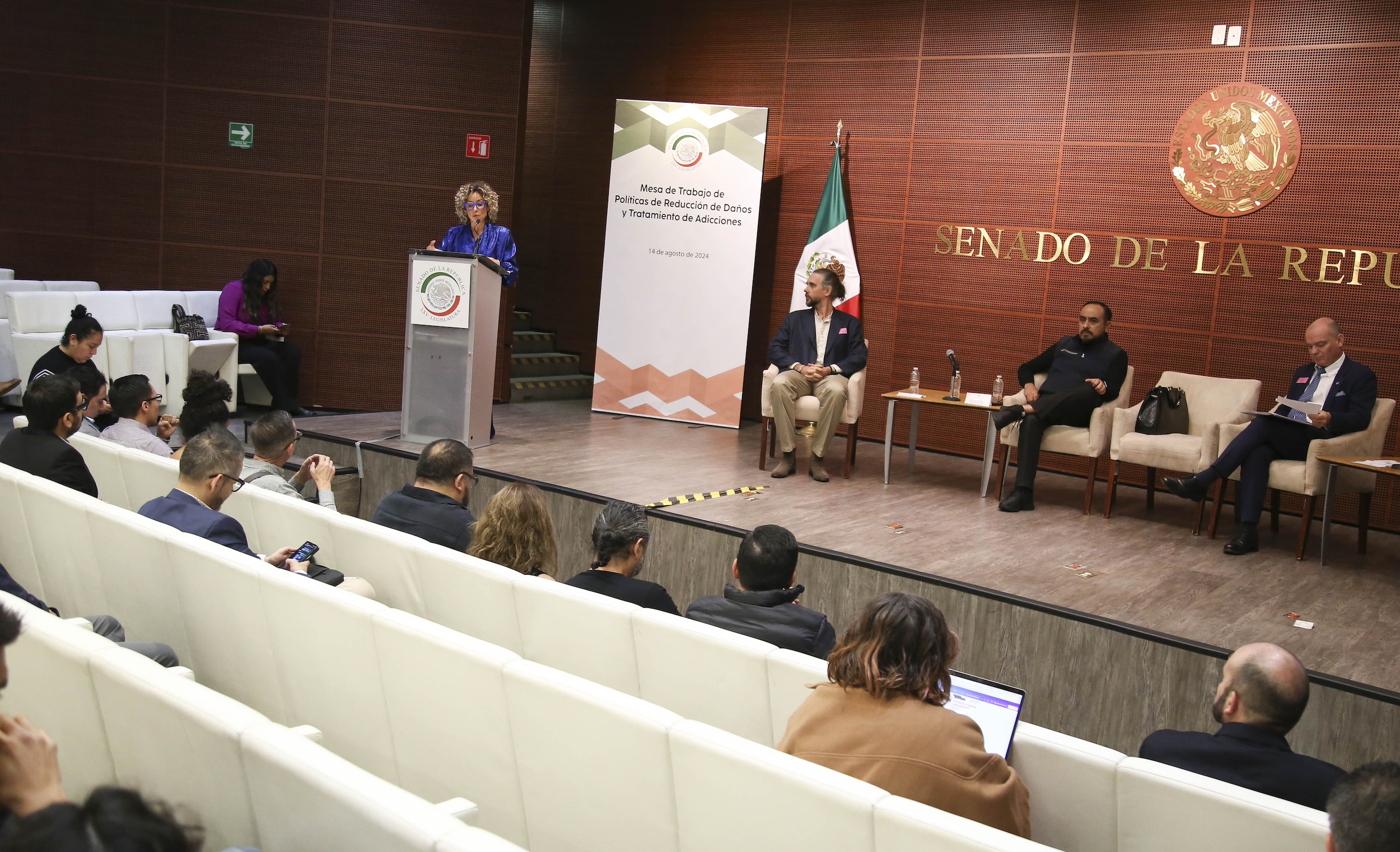 Mesa de Trabajo Politicas de Reduccion de Danos-
