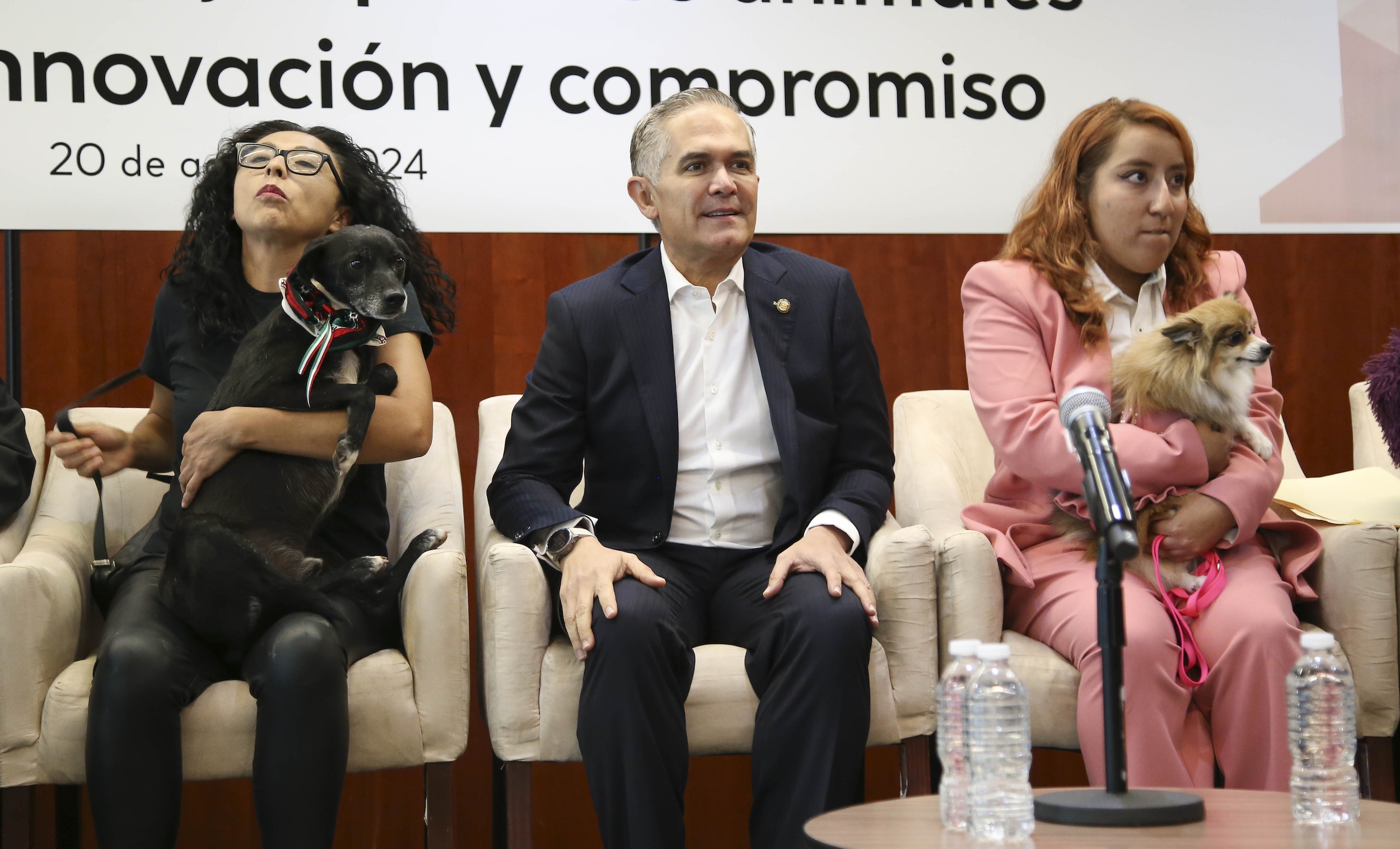 Foro Un Mundo Mejor para los Animales No Humanos-