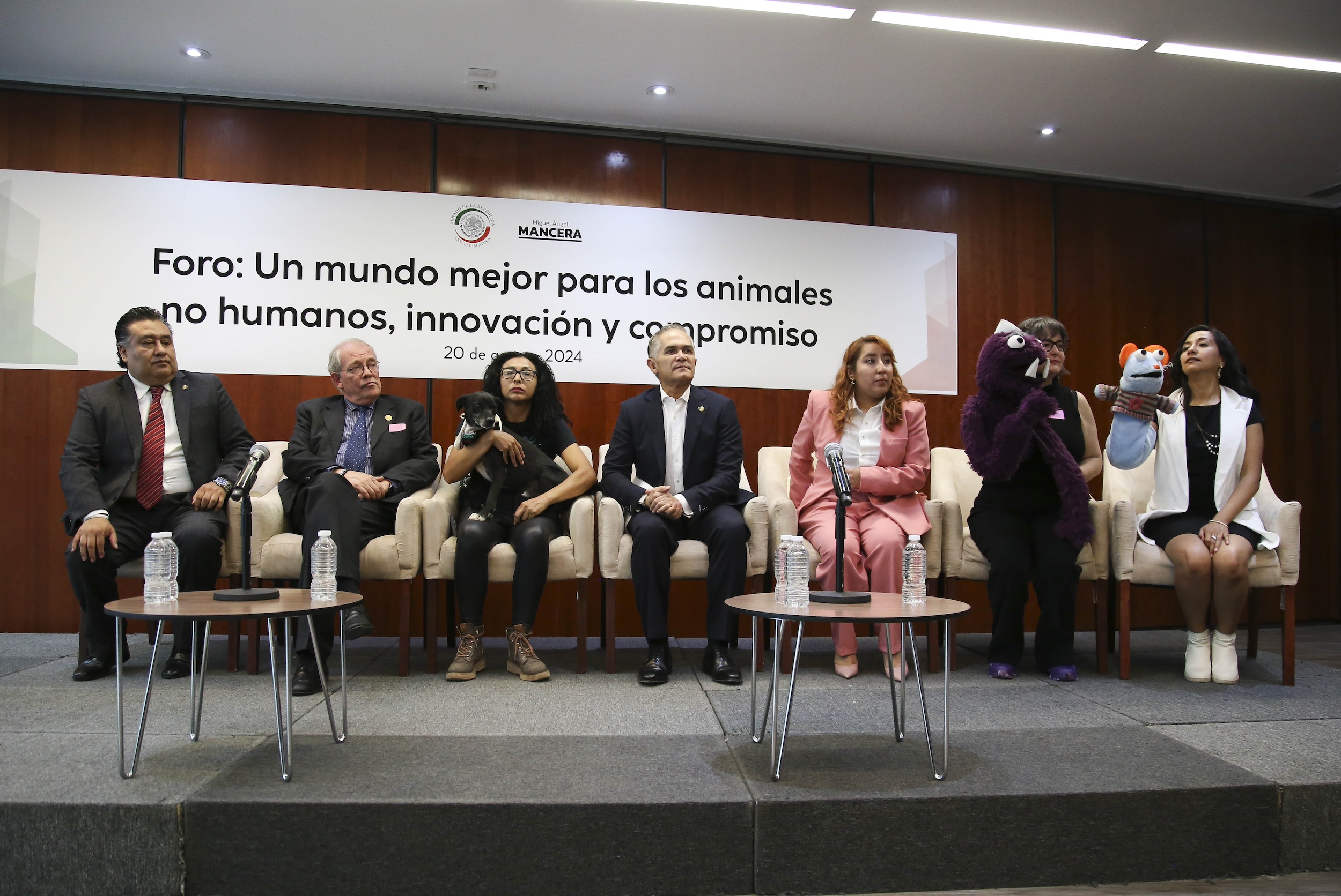 Foro Un Mundo Mejor para los Animales No Humanos-
