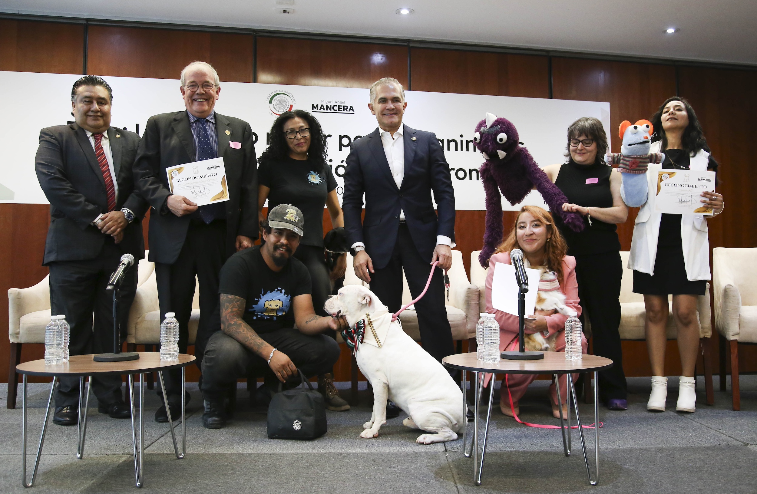 Foro Un Mundo Mejor para los Animales No Humanos-