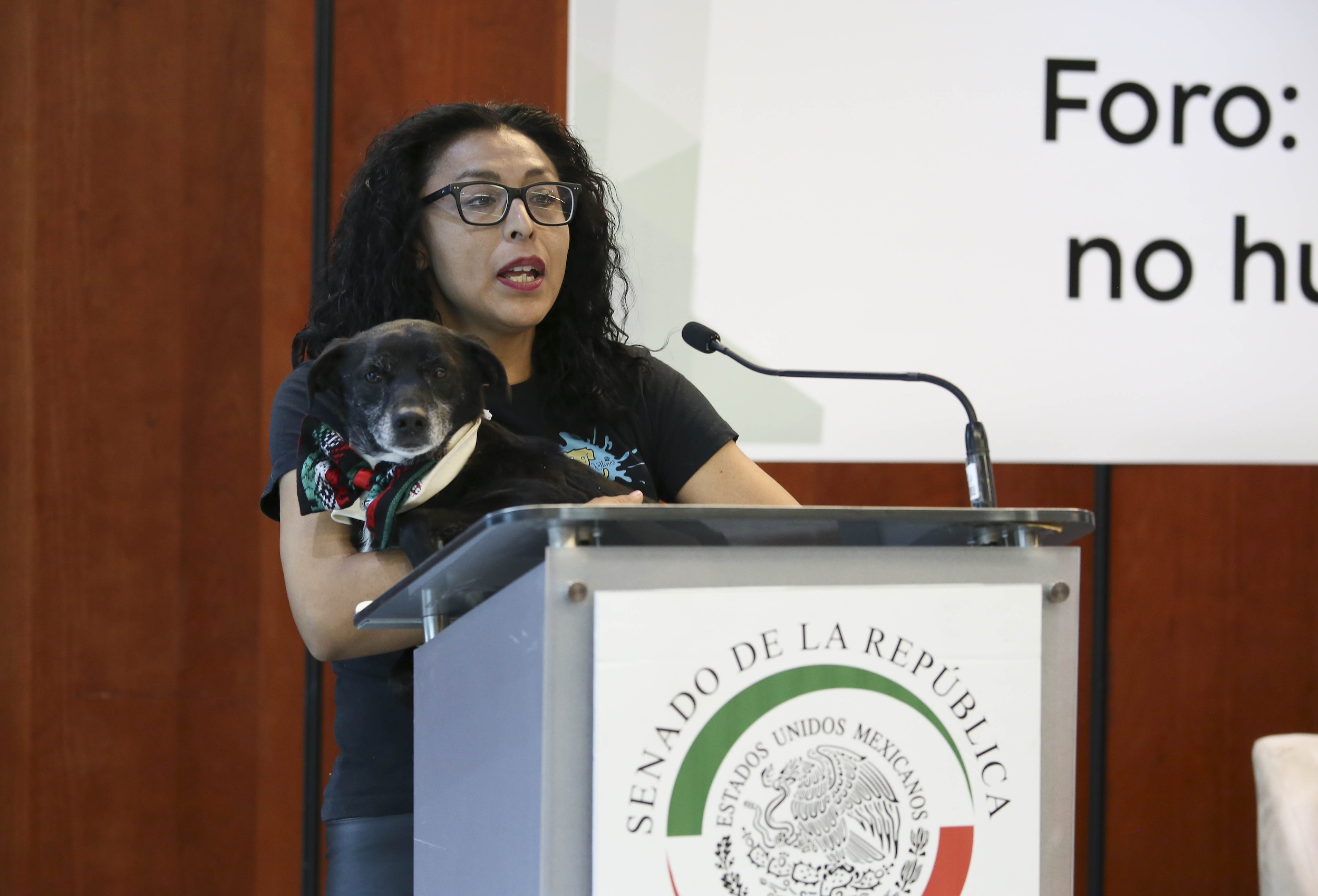 Foro Un Mundo Mejor para los Animales No Humanos-