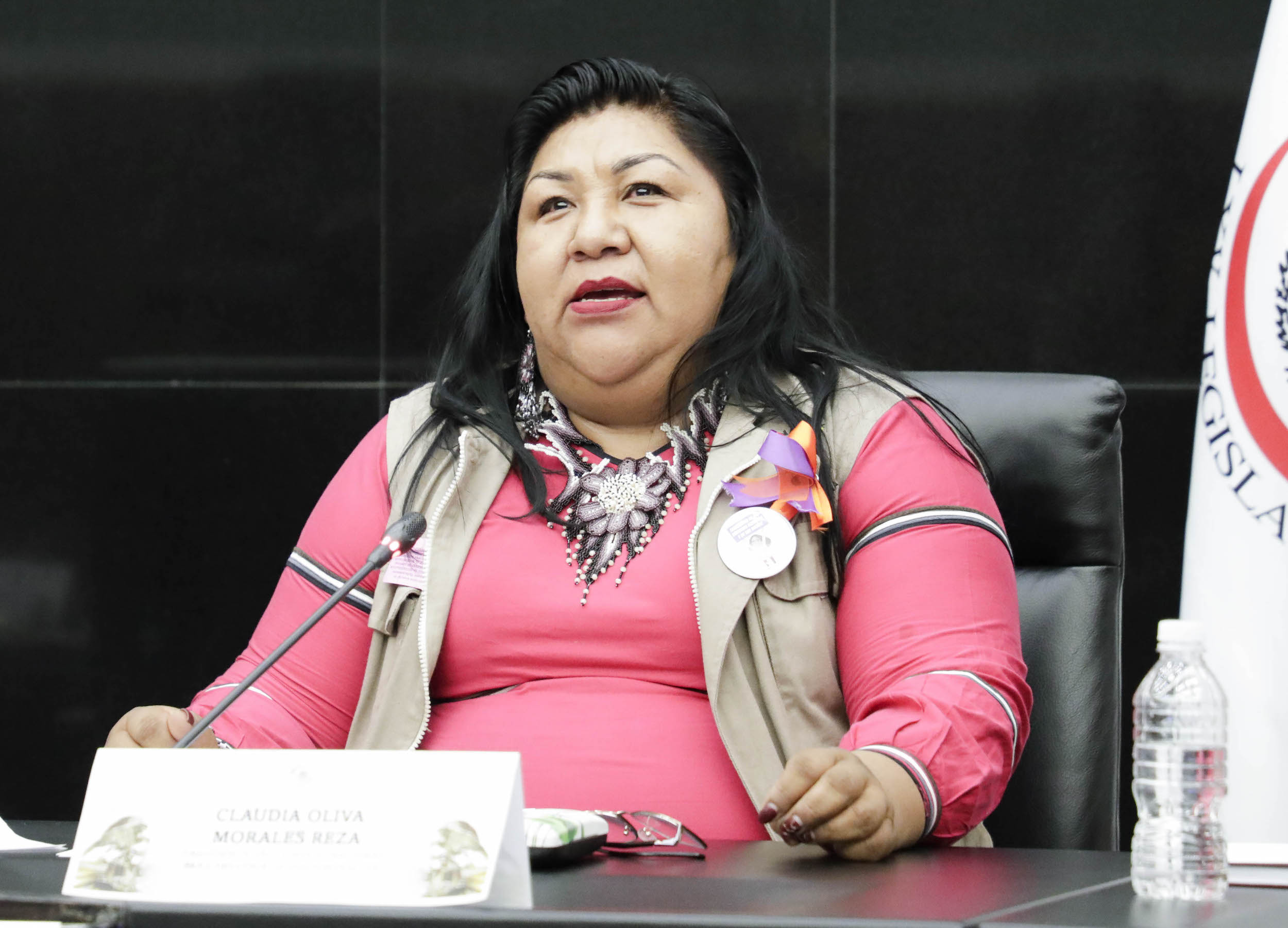 Foro de Interpretes de Lenguas en el Sector Salud-