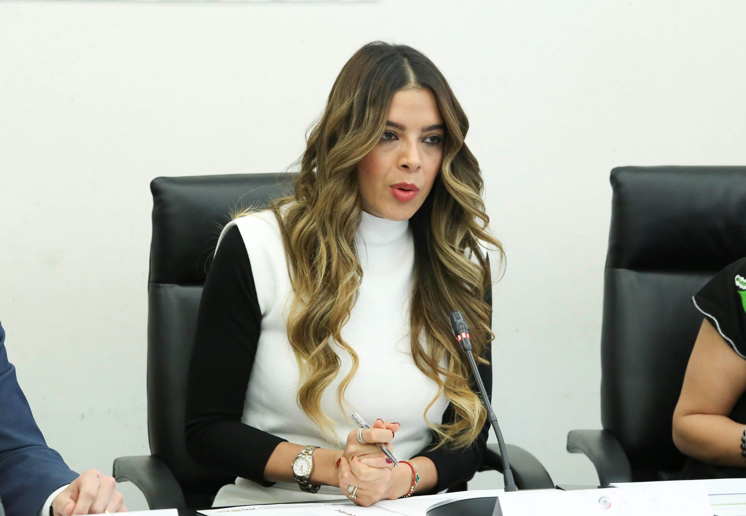 Comision Relaciones Exteriores America del Norte-American Chamber-