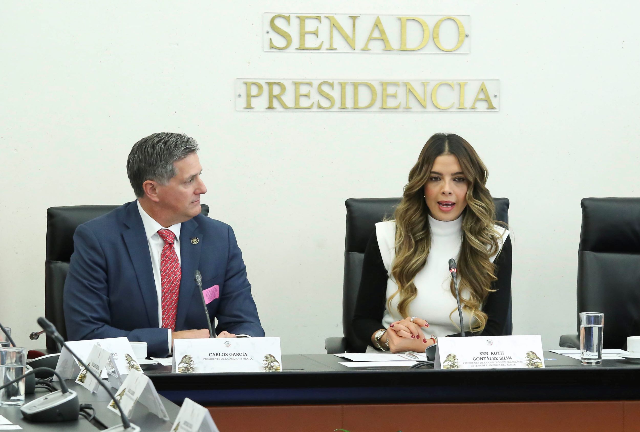 Comision Relaciones Exteriores America del Norte-American Chamber-