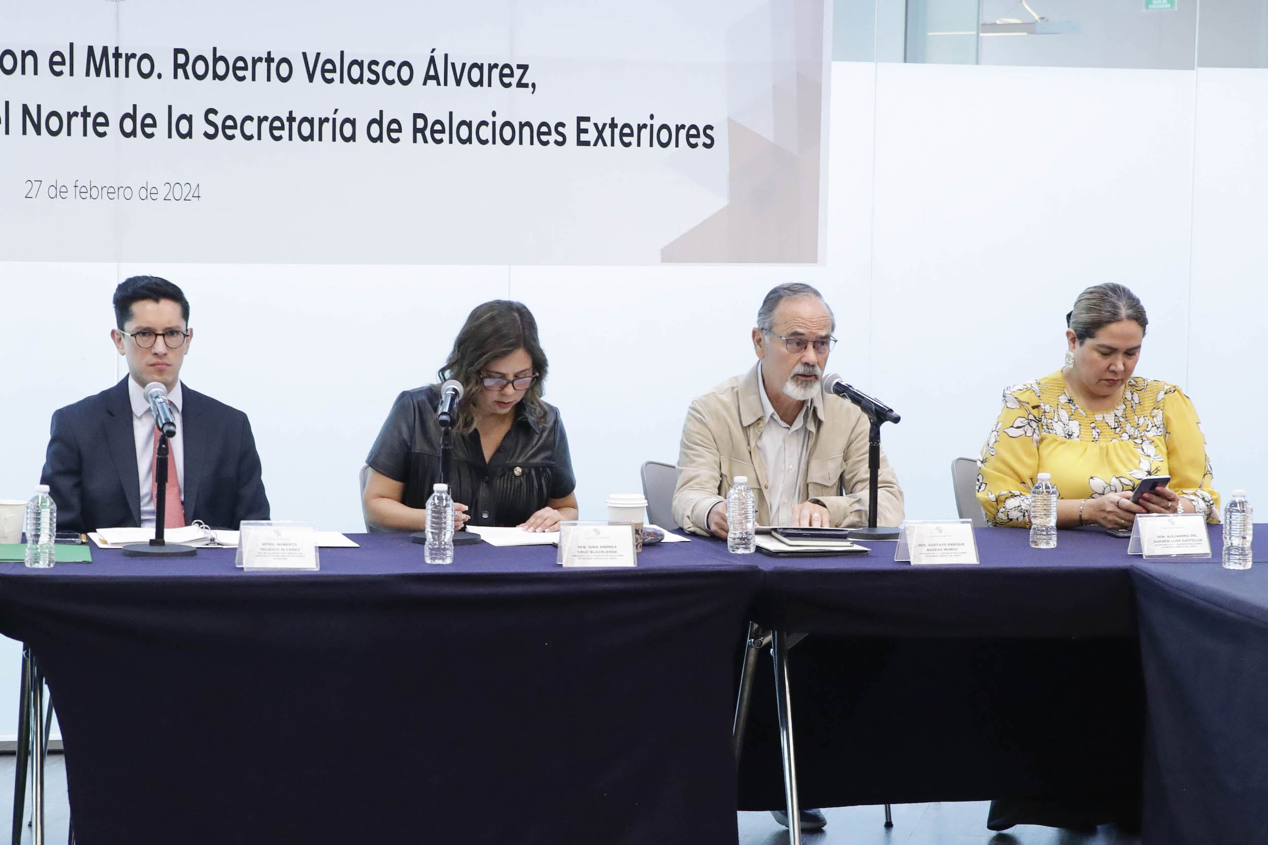 Com Rel Ext America del Norte-