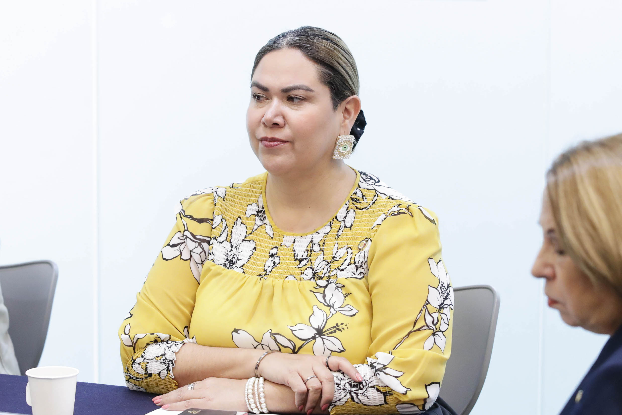 Com Rel Ext America del Norte-