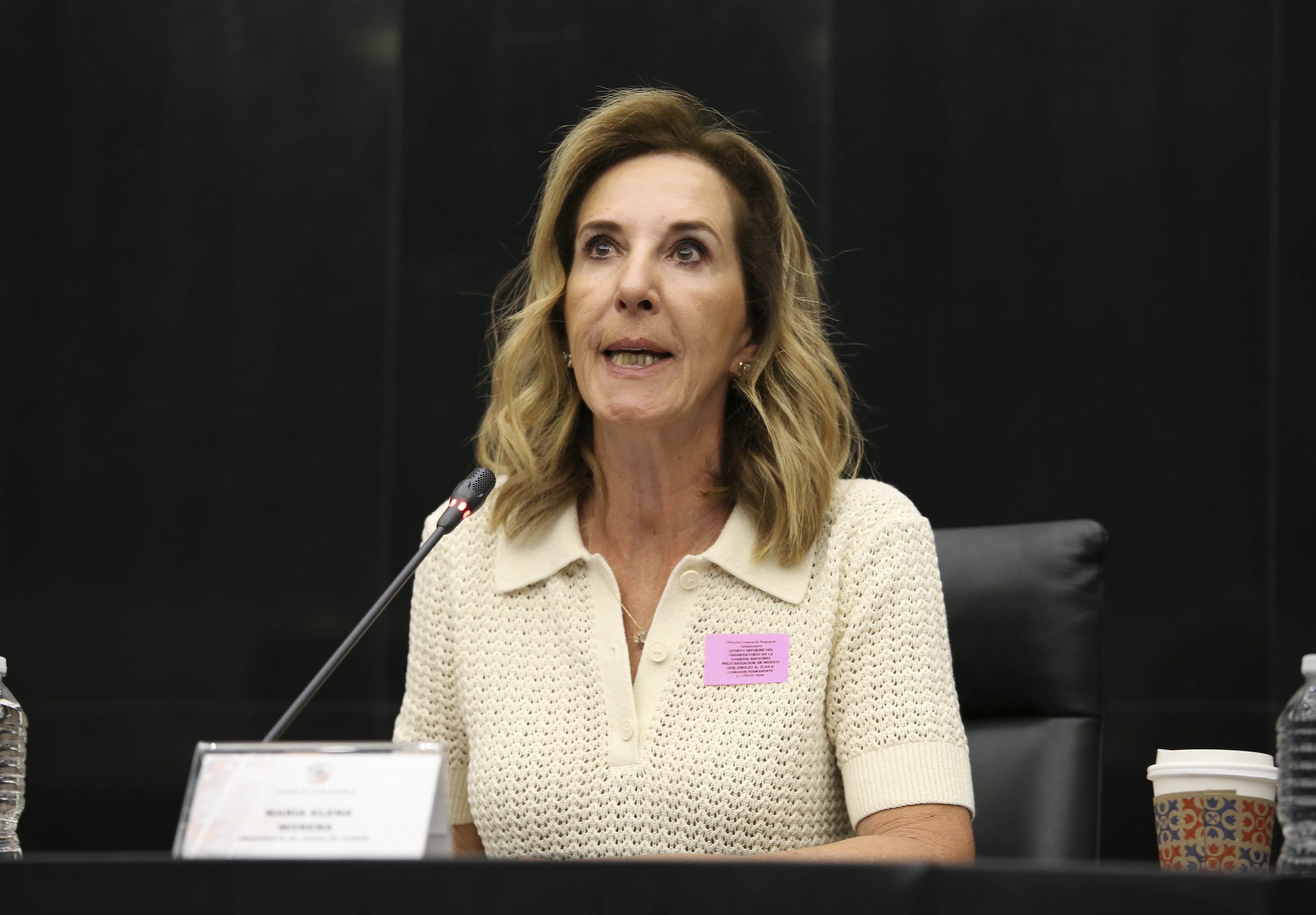 Quinto Informe Observatorio Guardia Nacional-