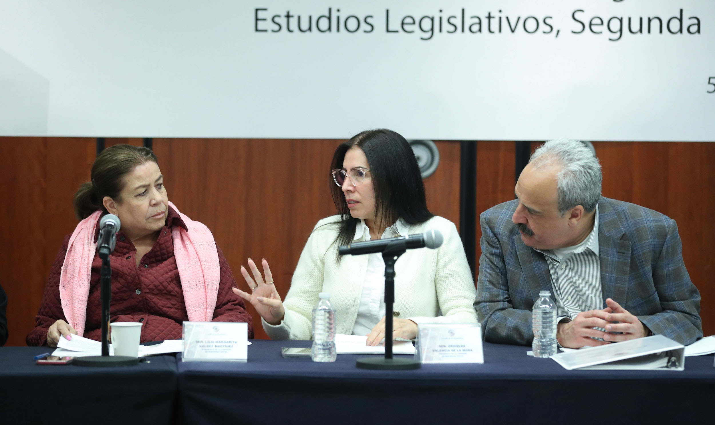 Comisiones Unidas de Seguridad Social y de Estudios Legislativos Segunda-