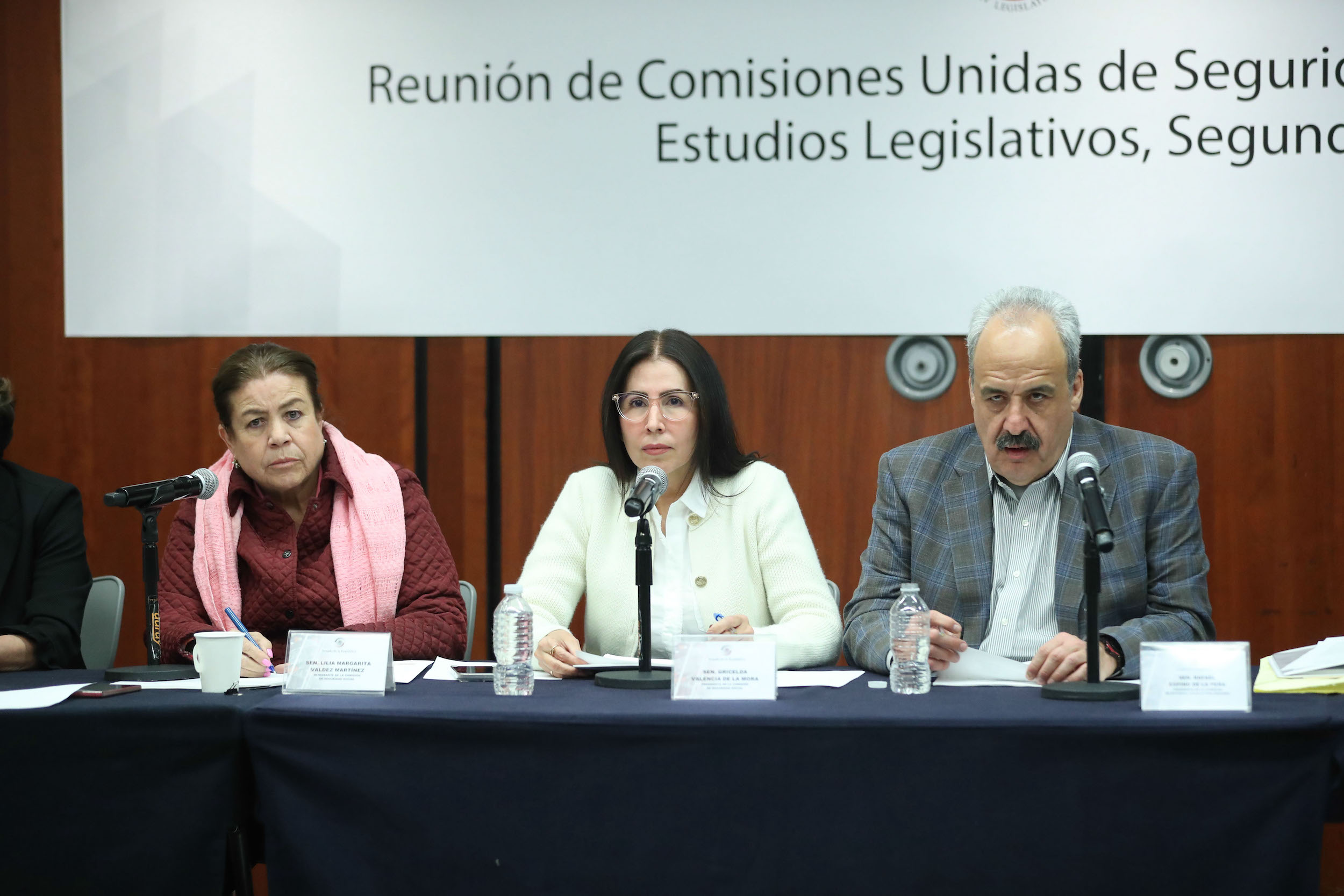 Comisiones Unidas de Seguridad Social y de Estudios Legislativos Segunda-