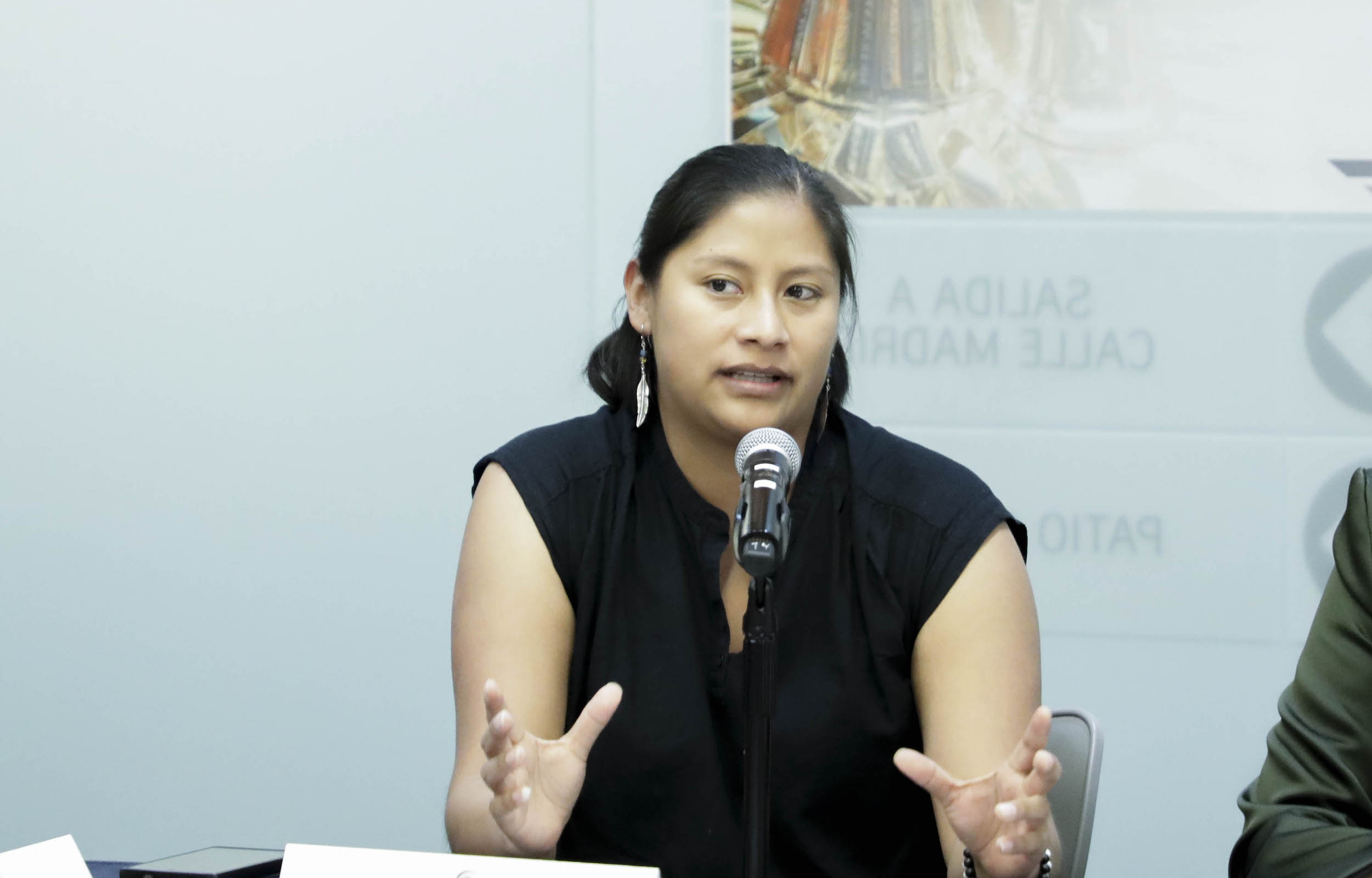 Reunion Ordinaria de la Comision para la Igualdad de Genero-