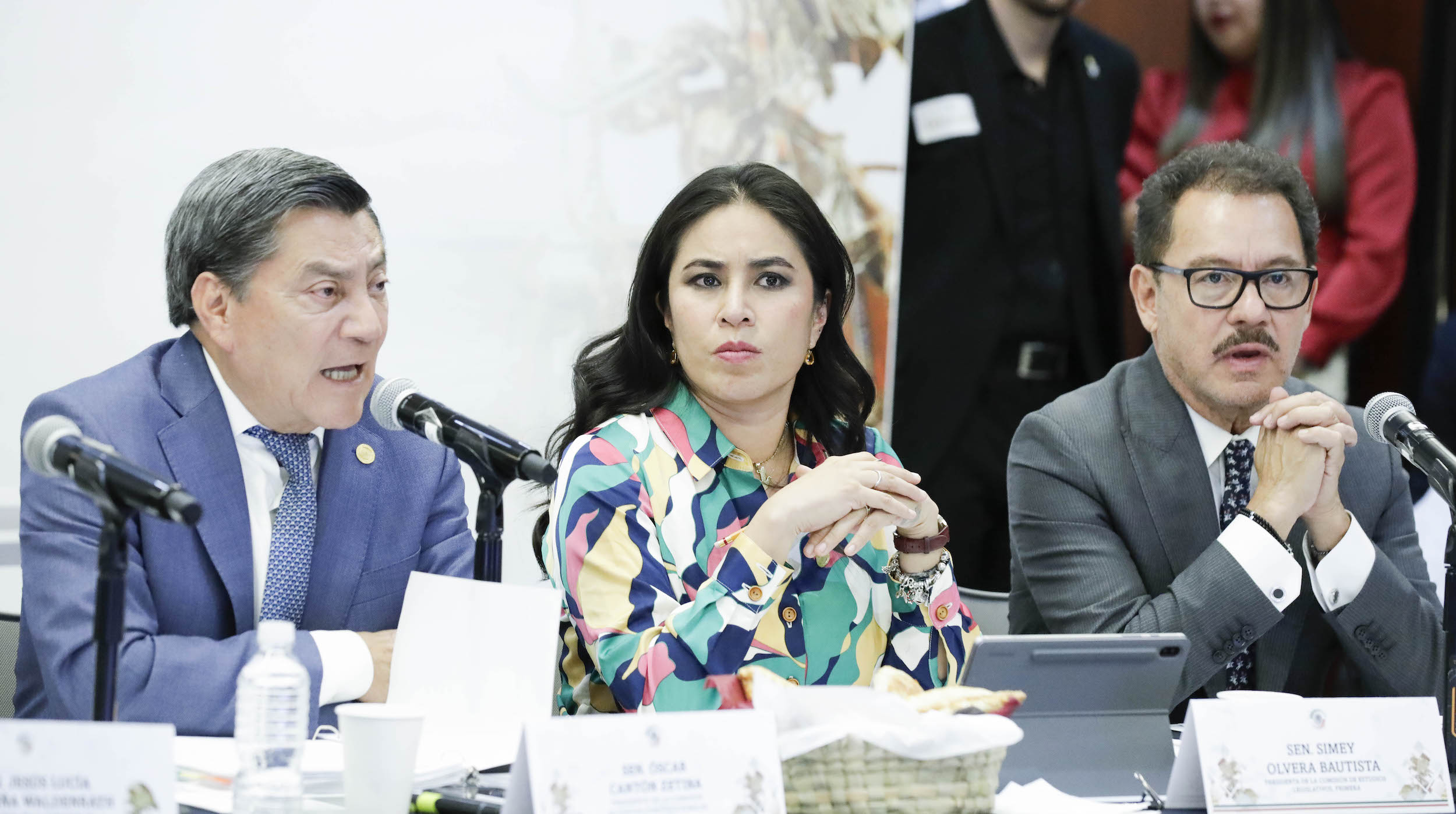 Reunioen de las comisiones unidas de Puntos Constitucionales Seguridad Pueblica y Estudios Legislativos Primera-