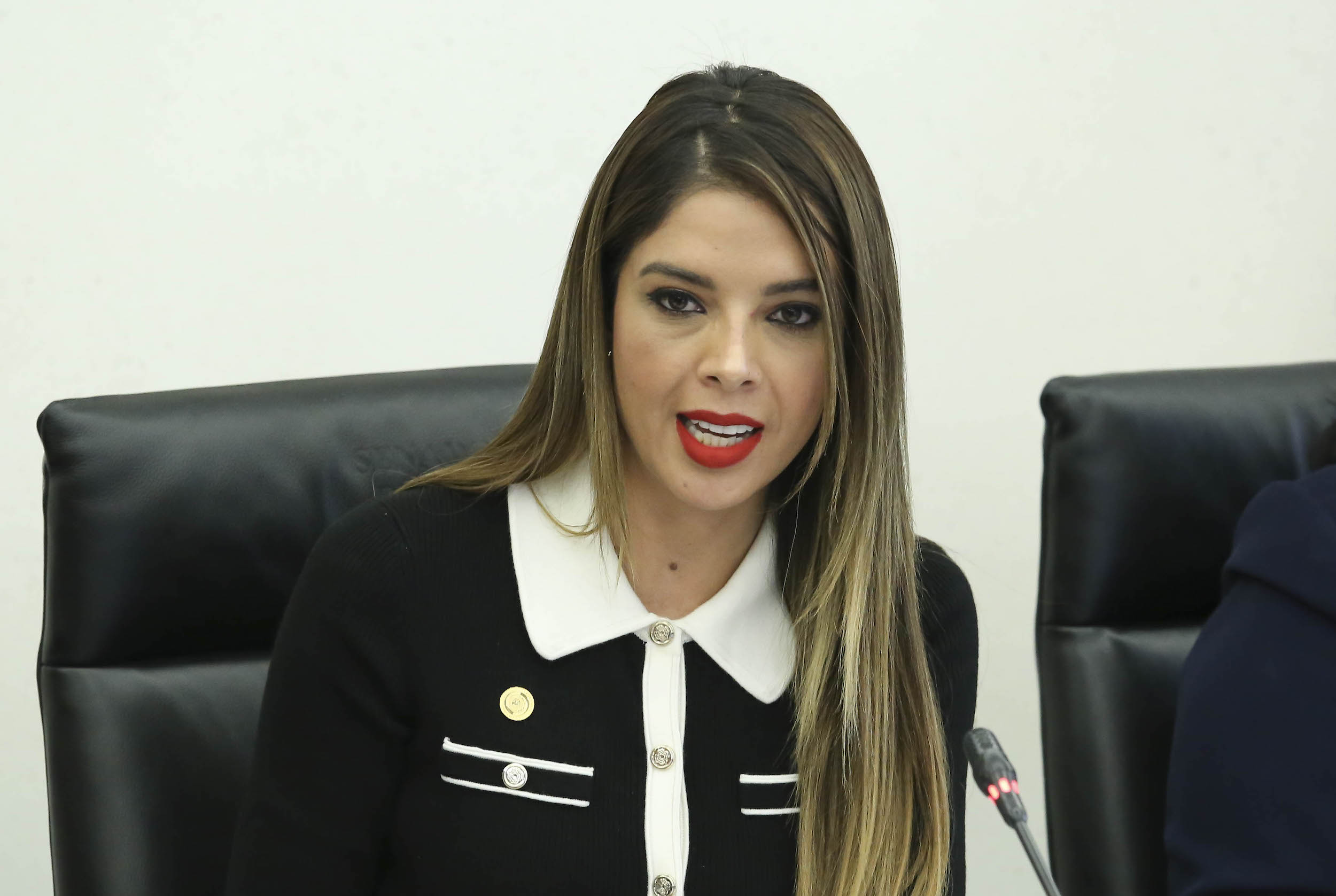 Comision Rel Ext America del Norte-