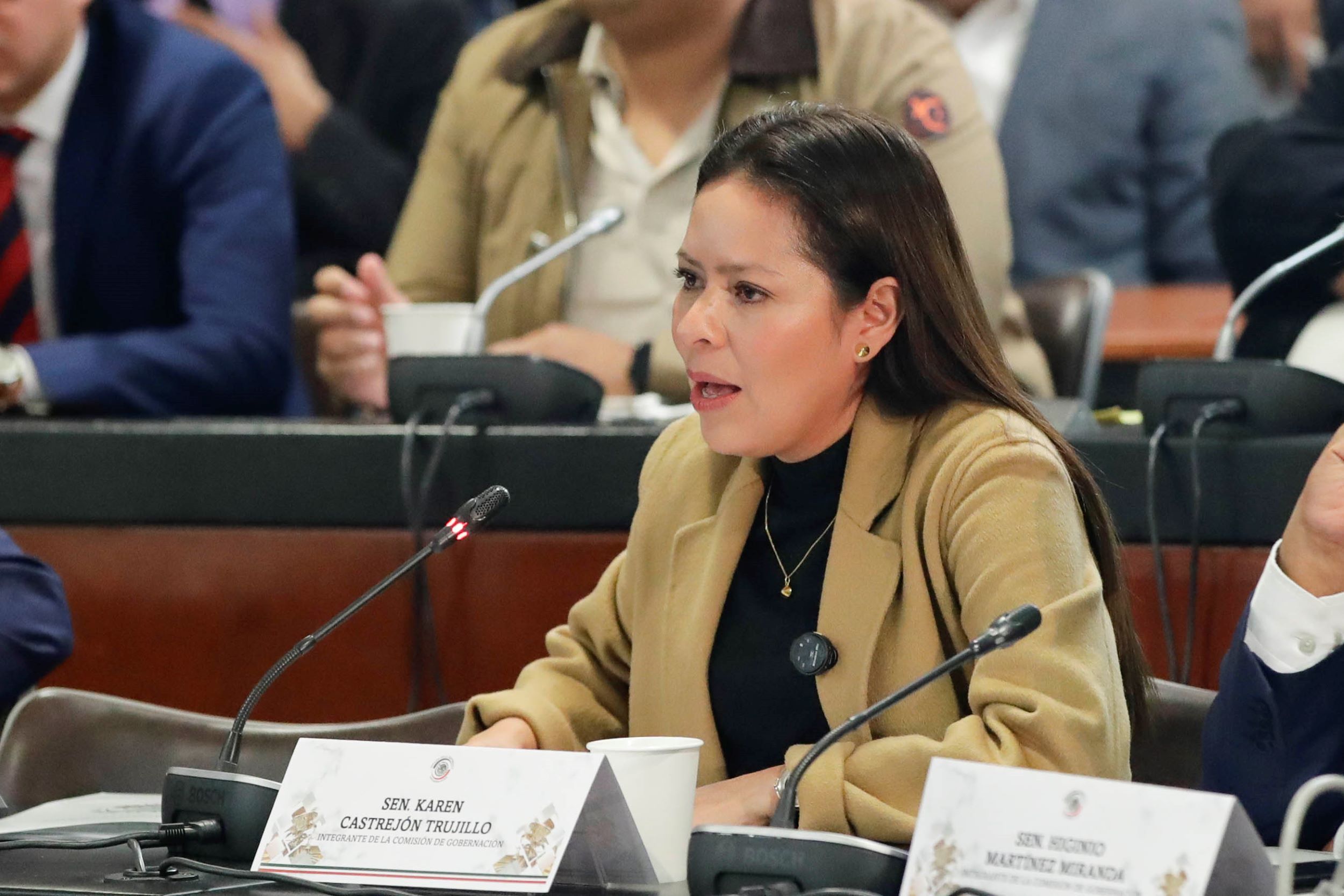 Comisiones Gobernacion Anticorrupcion y Transparencia 2711274