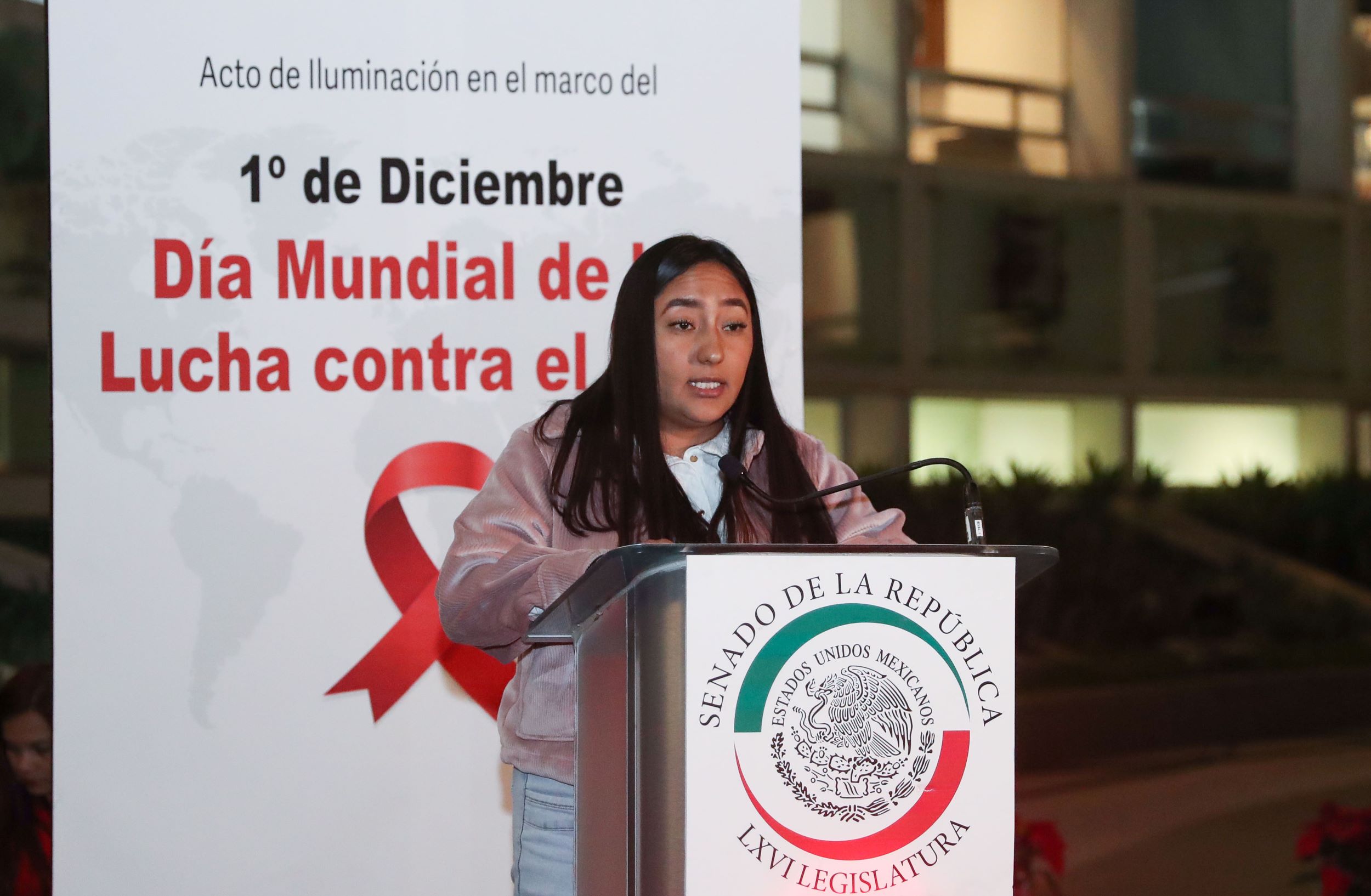 Dia Mundial de la Lucha contra el SIDA 271124