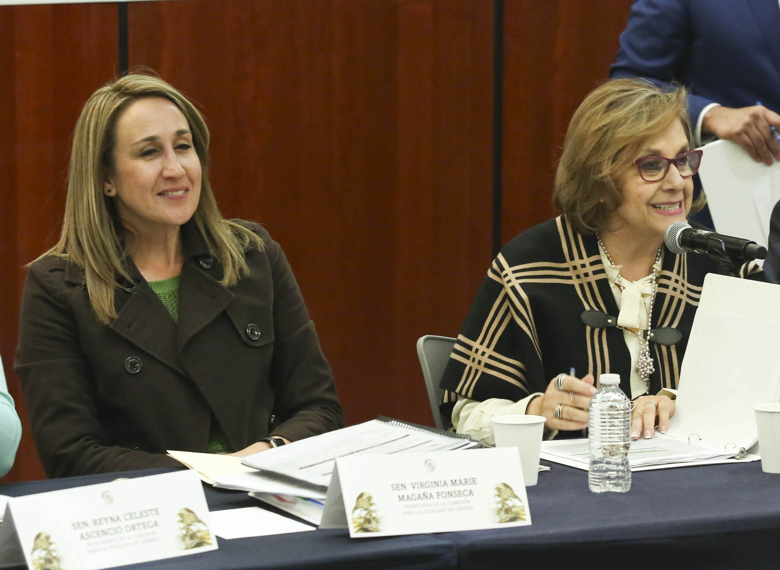 Comisiones Unidas Igualdad Genero y Estudios Legislativos -