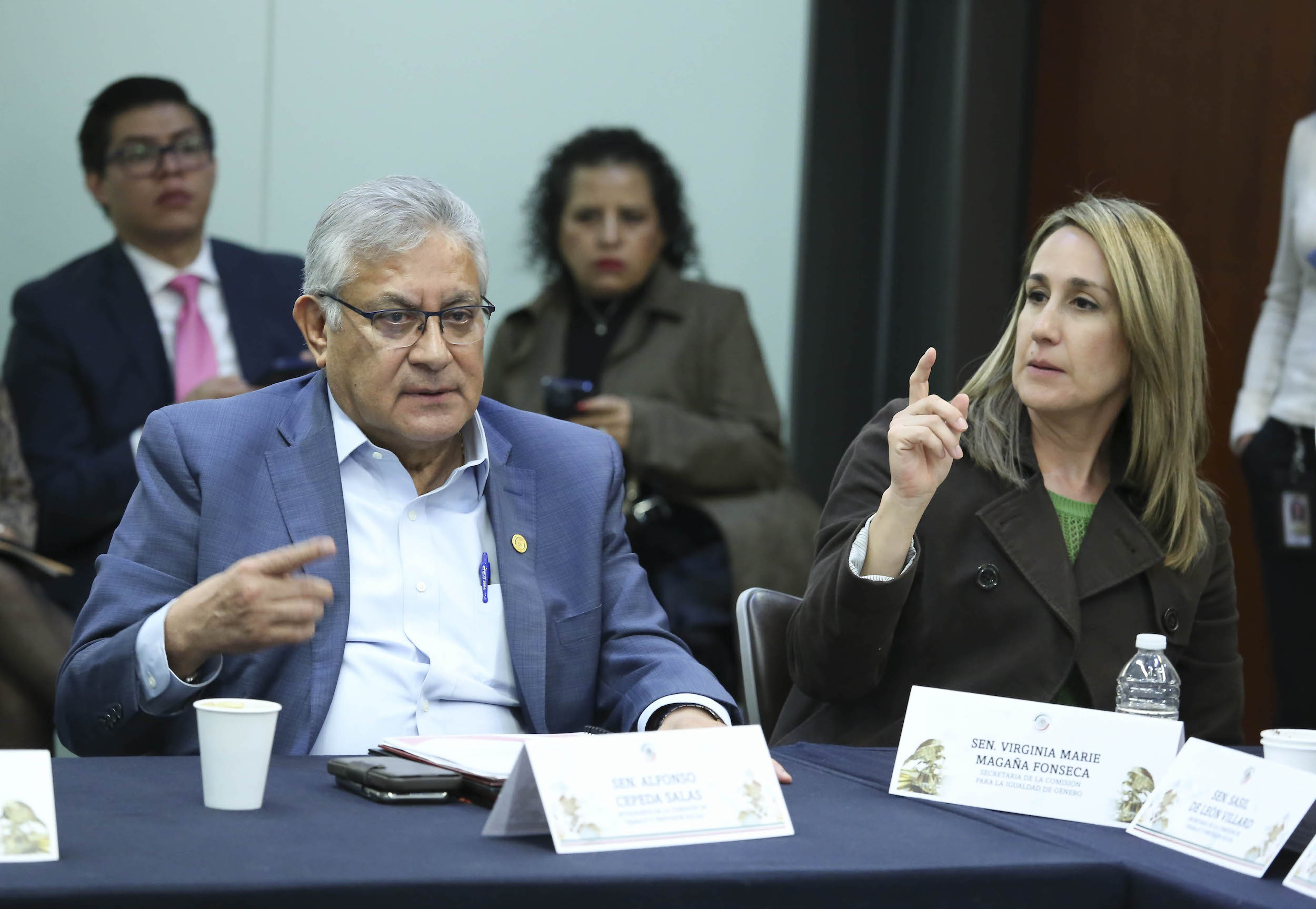 Comisiones Unidas de Trabajo Igualdad de Genero y Estudios Legislativos-