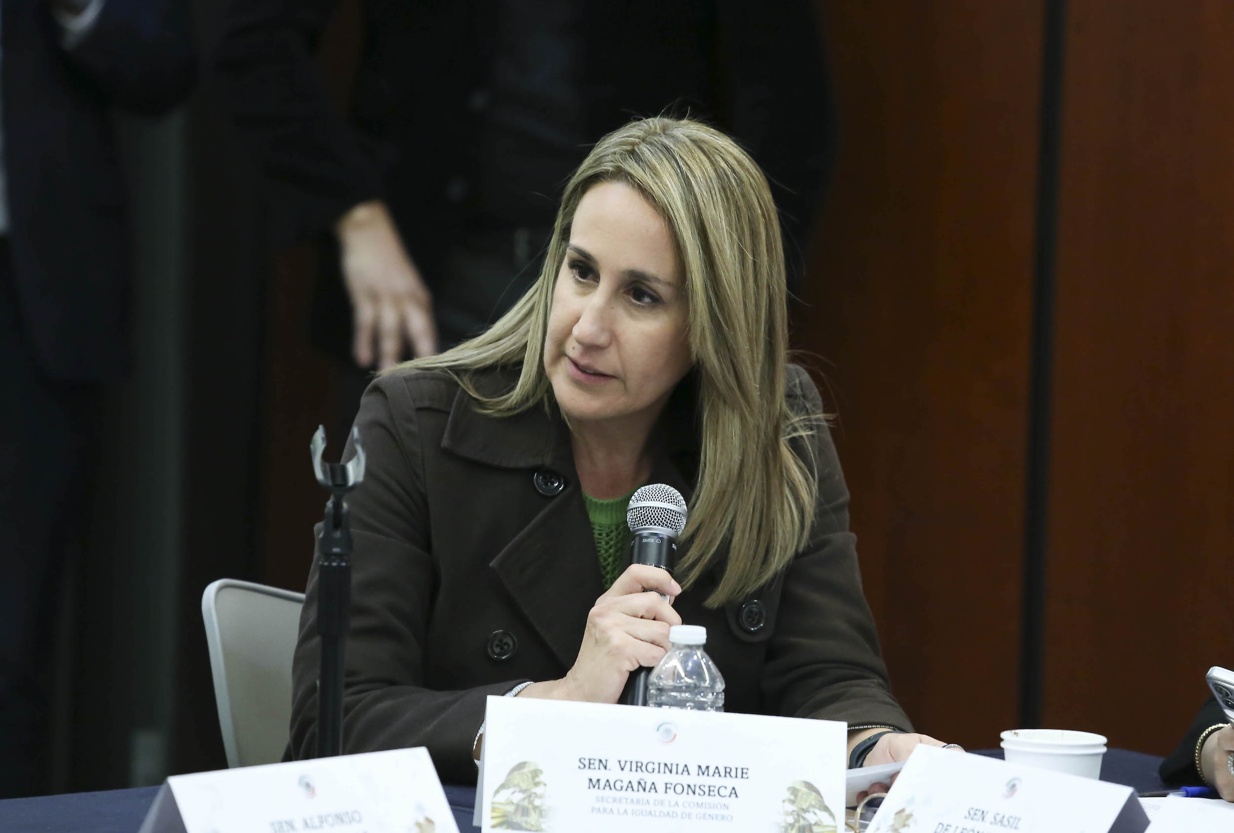 Comisiones Unidas de Trabajo Igualdad de Genero y Estudios Legislativos-