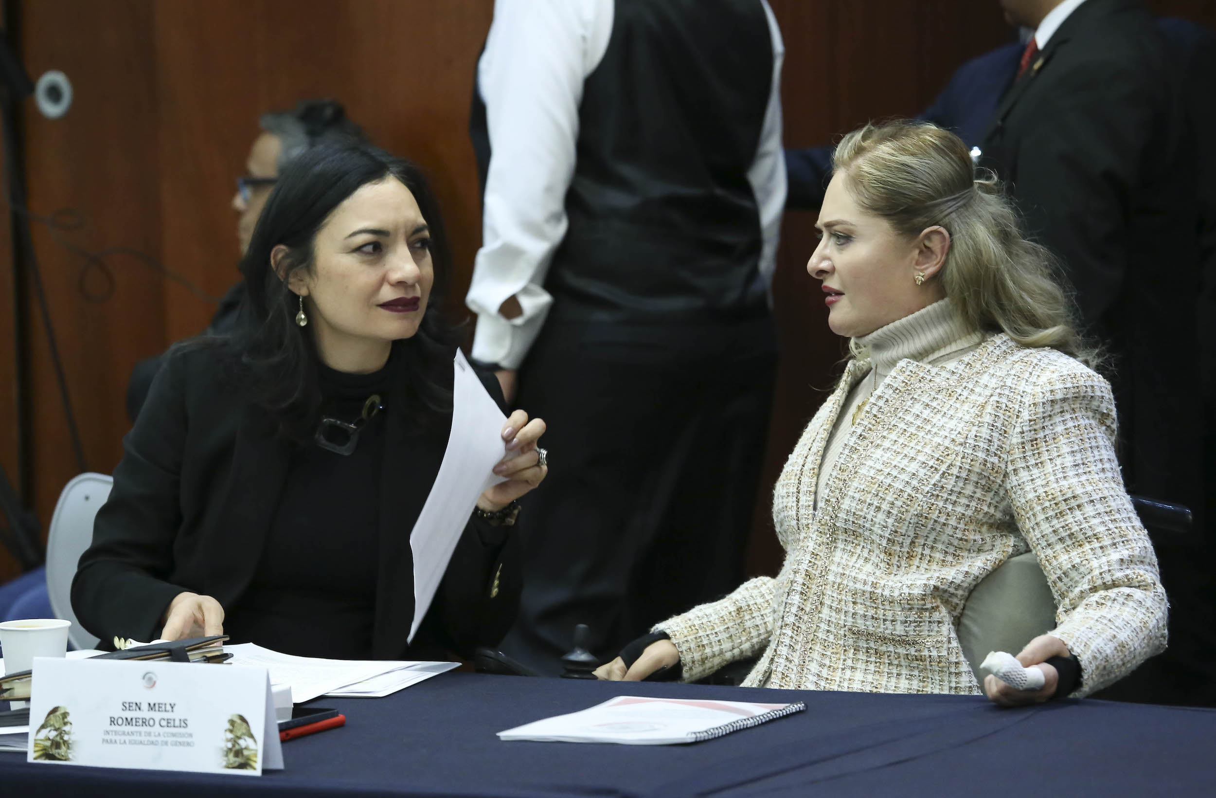Comisiones Unidas de Trabajo Igualdad de Genero y Estudios Legislativos-