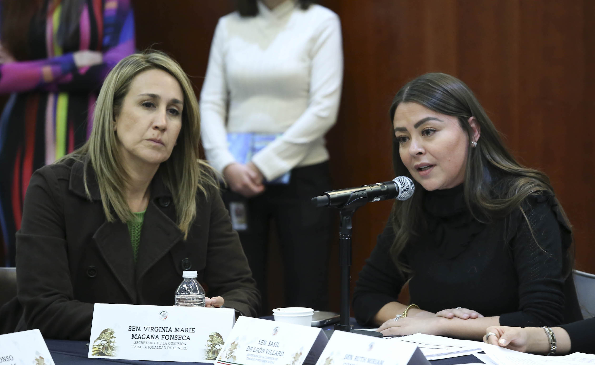 Comisiones Unidas de Trabajo Igualdad de Genero y Estudios Legislativos-