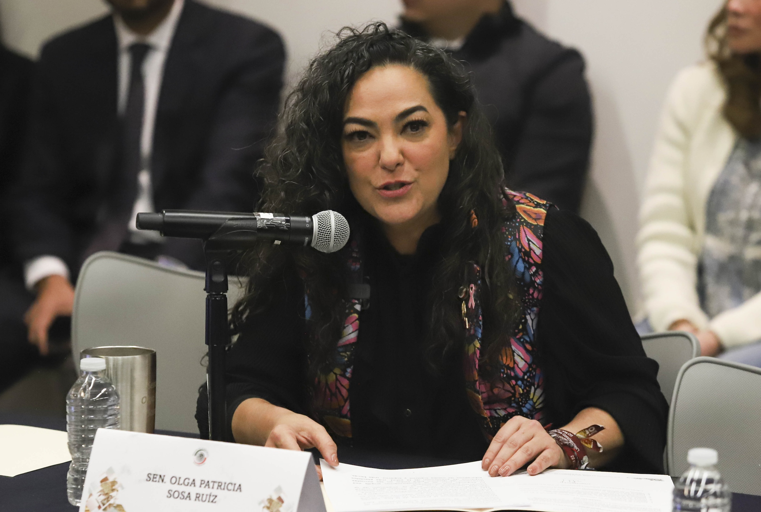 Instalacion de la Comision De Educacion  Sen Raul Moron Orozco -