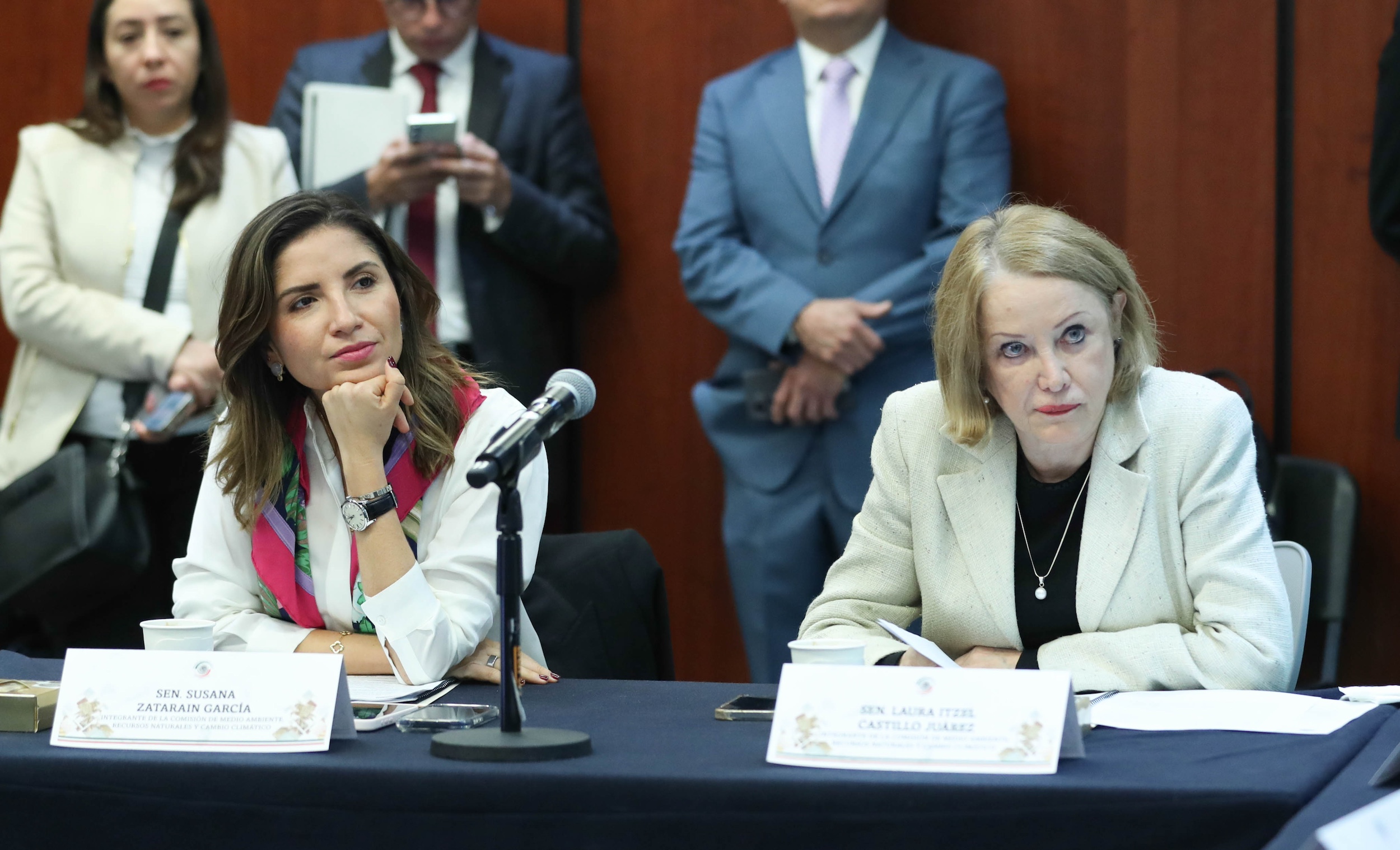 Comision de Medio Ambiente y recursos Naturales -