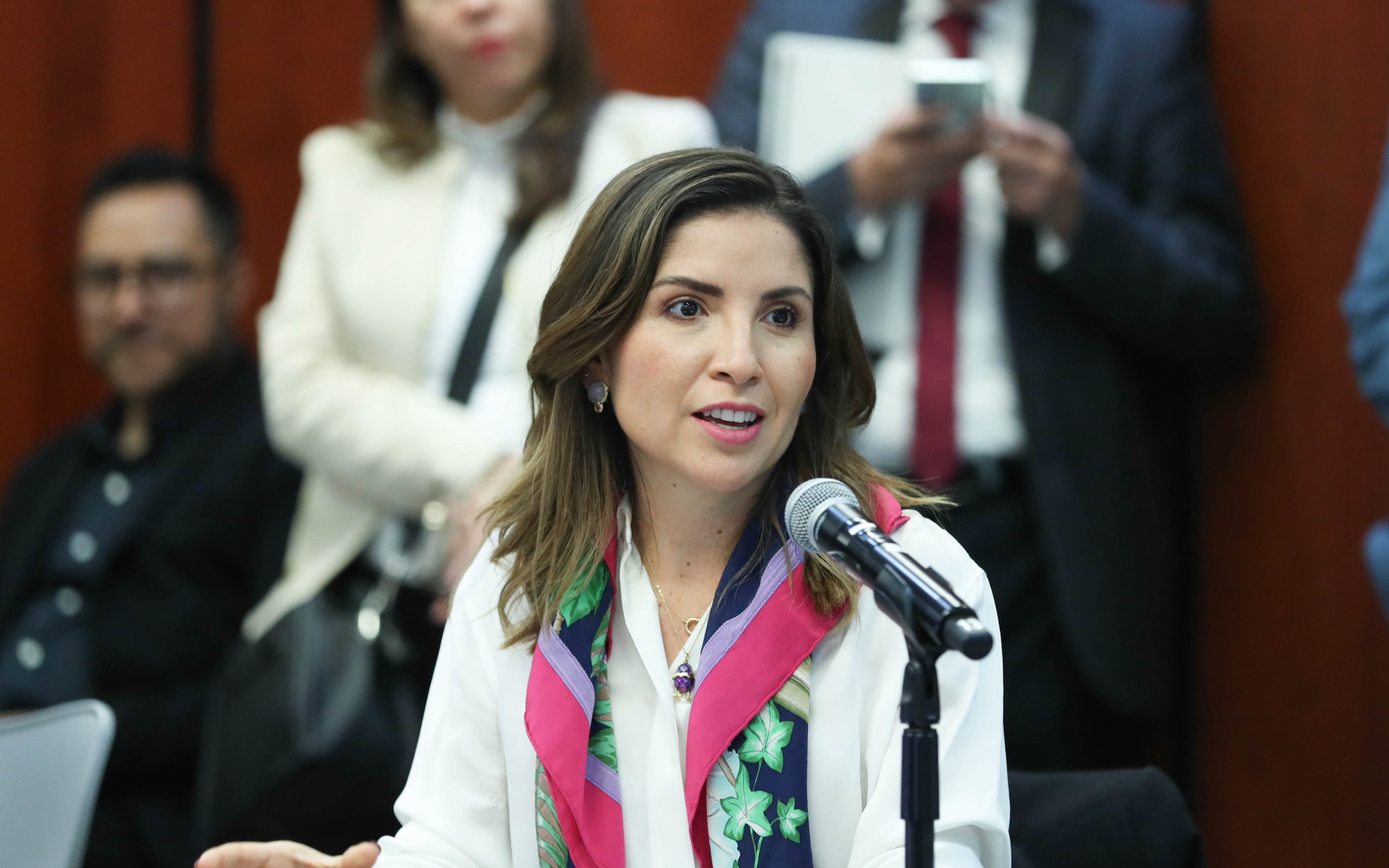 Comision de Medio Ambiente y recursos Naturales -