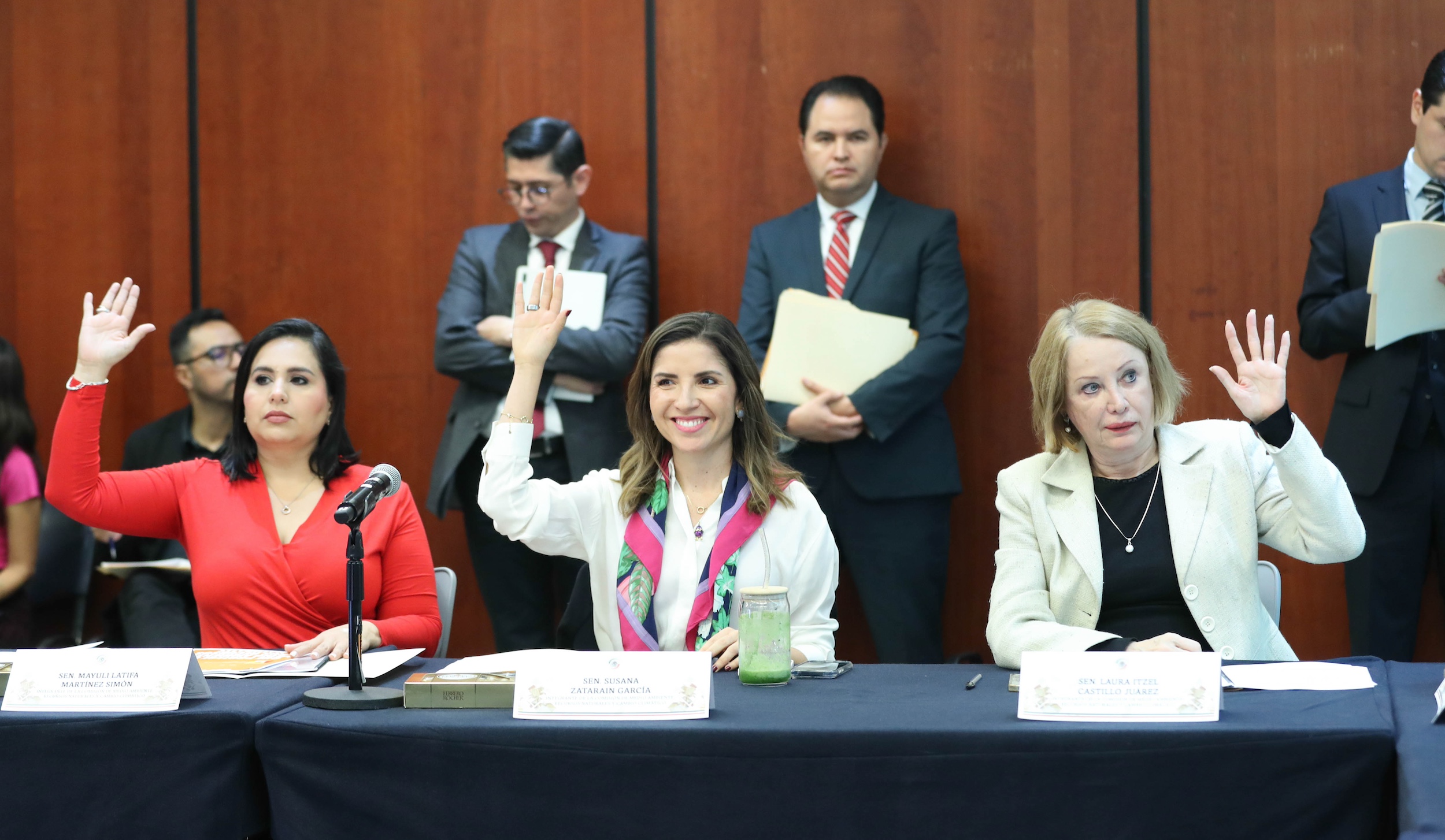 Comision de Medio Ambiente y recursos Naturales -