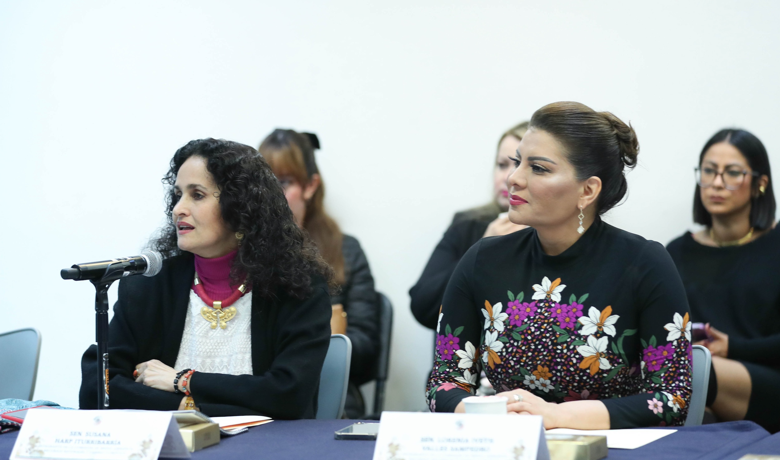 Comision de Medio Ambiente y recursos Naturales -