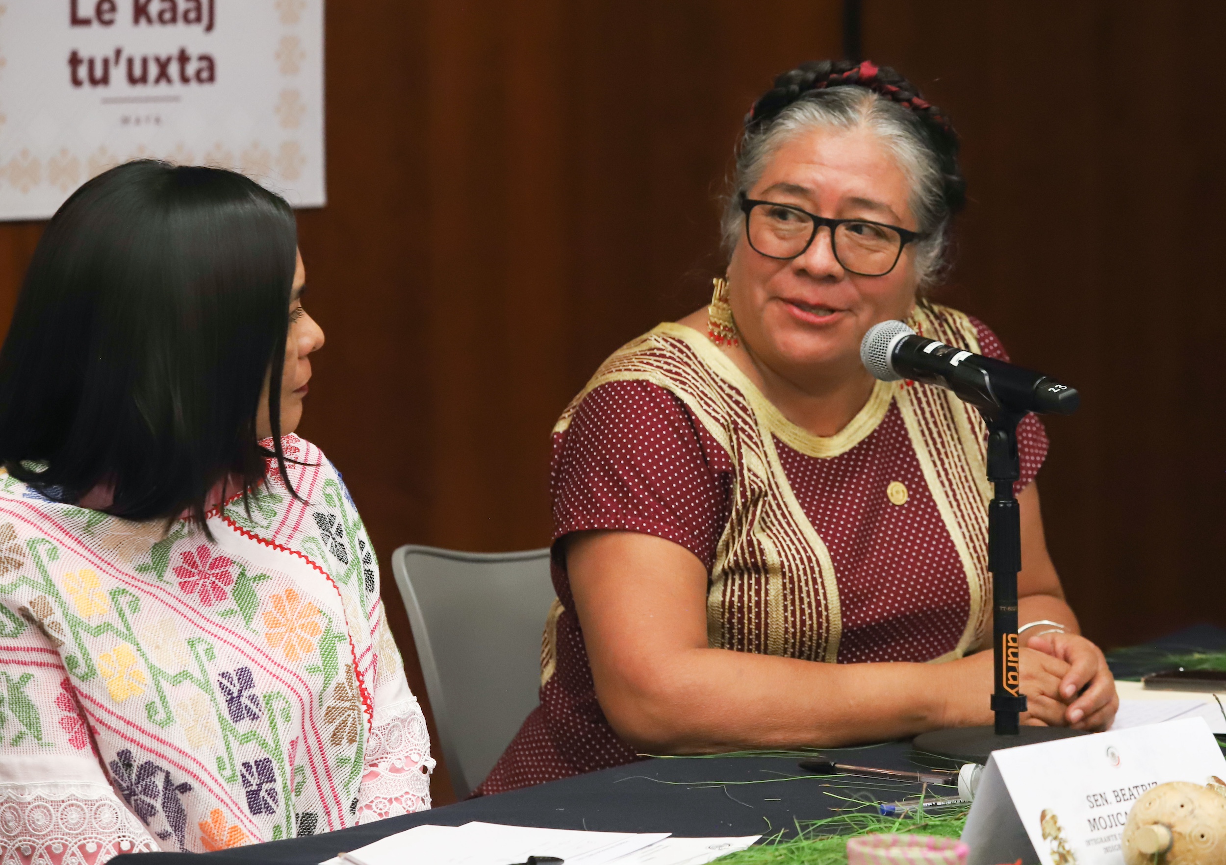 Instalacion de la Comision de Pueblos Indigenas y Afroamericanos-
