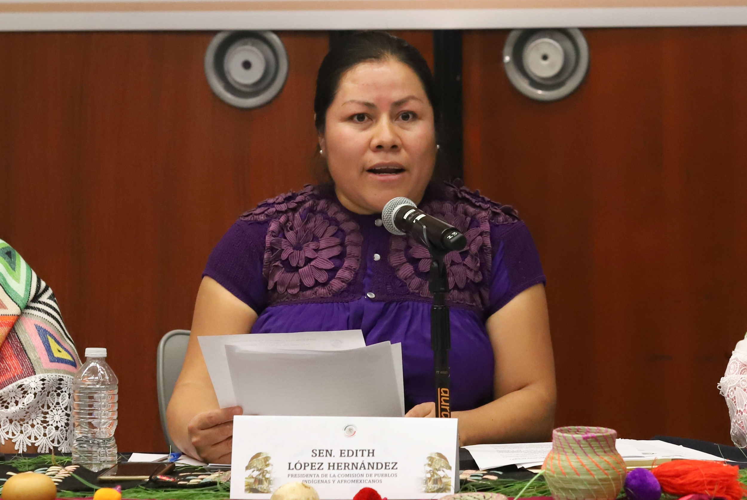 Instalacion de la Comision de Pueblos Indigenas y Afroamericanos-
