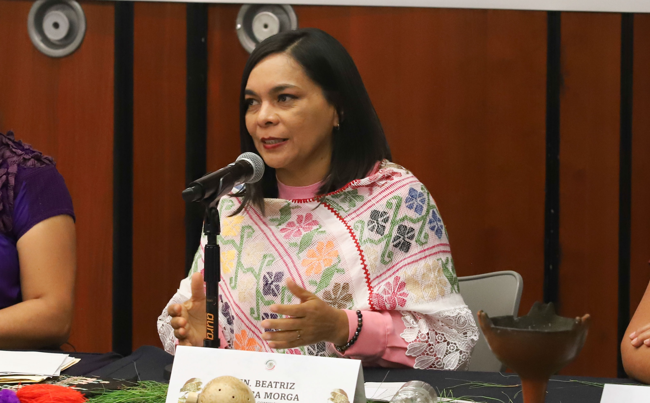 Instalacion de la Comision de Pueblos Indigenas y Afroamericanos-