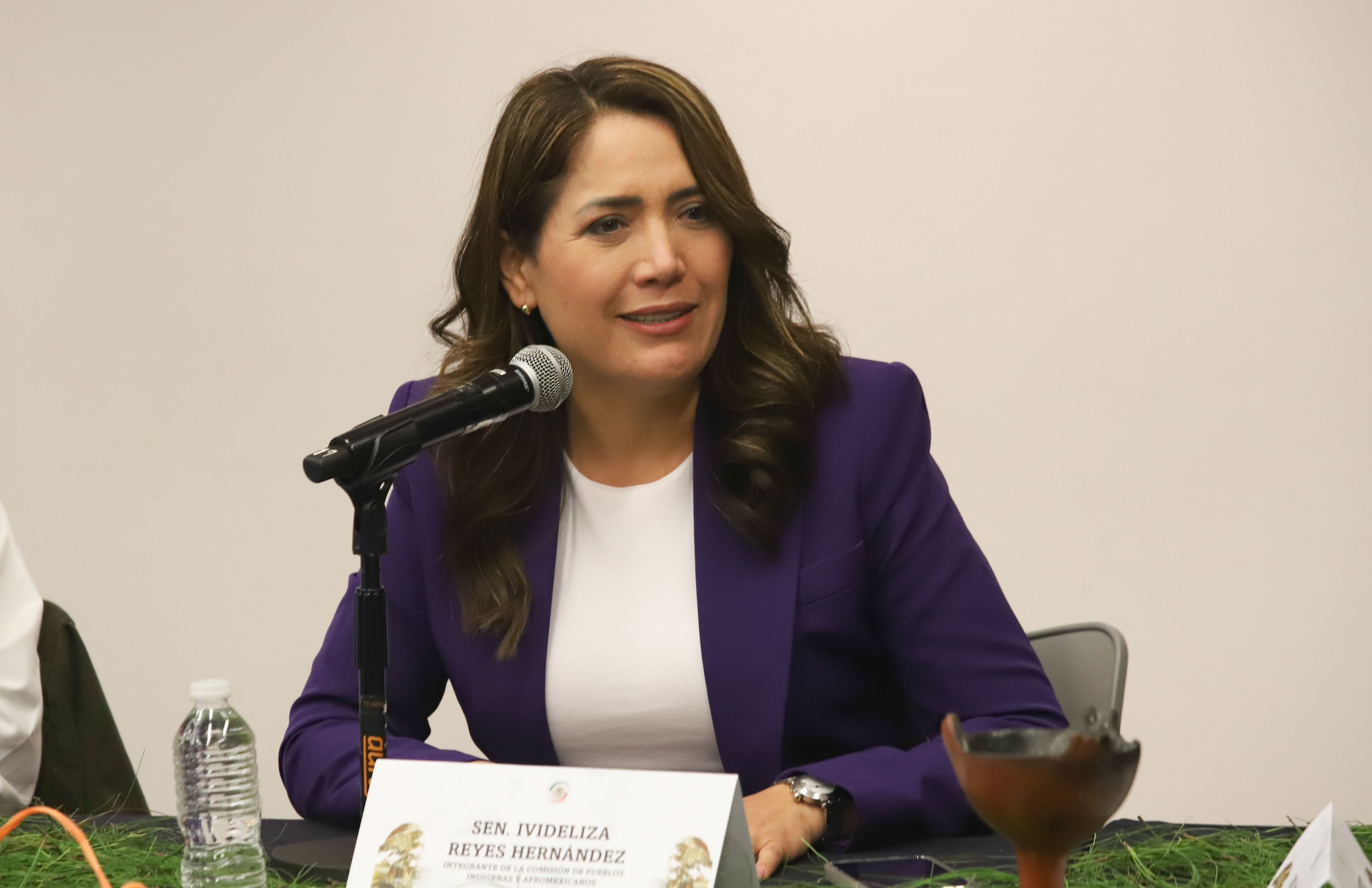 Instalacion de la Comision de Pueblos Indigenas y Afroamericanos-