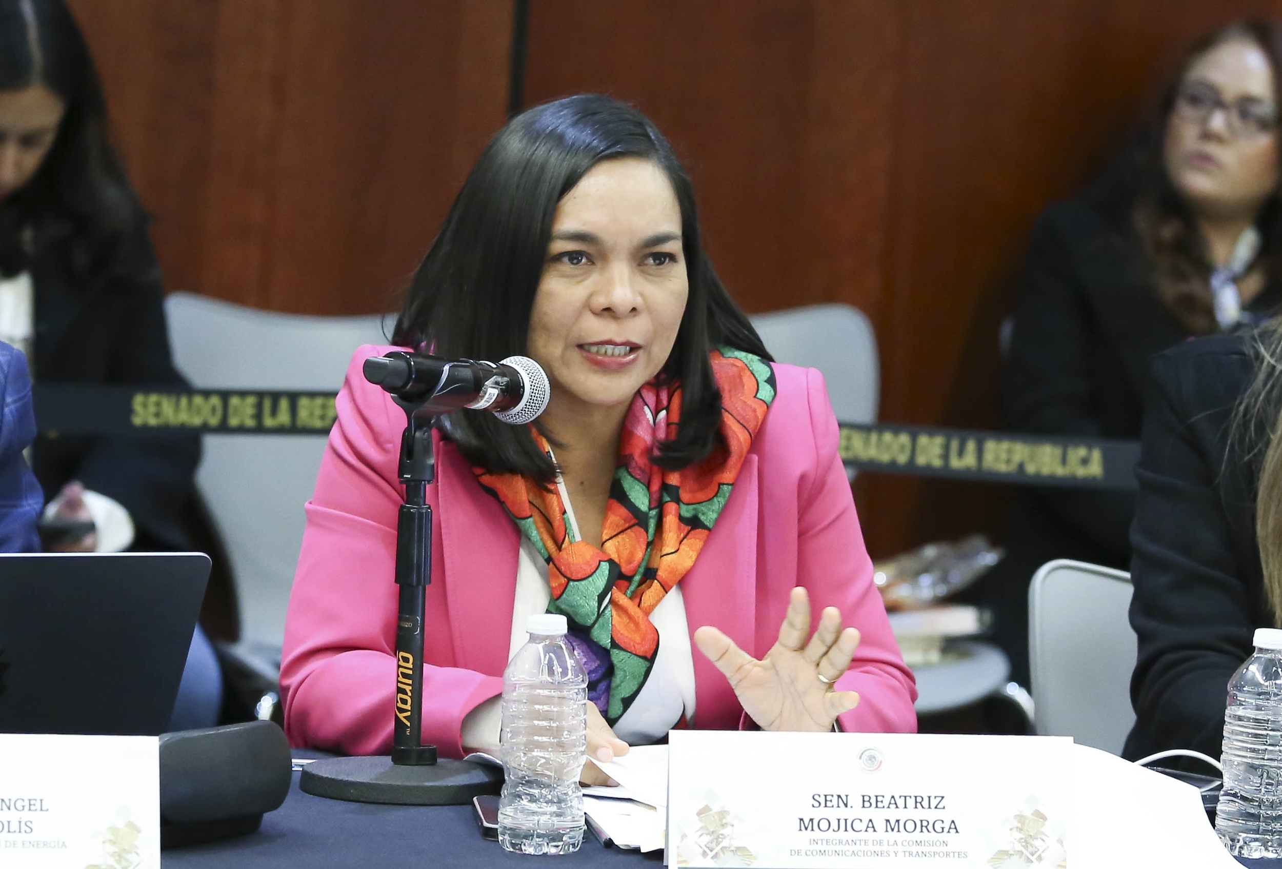 Comisiones Unidas Puntos Constitucionales Energia y Estudios Legislativos  -
