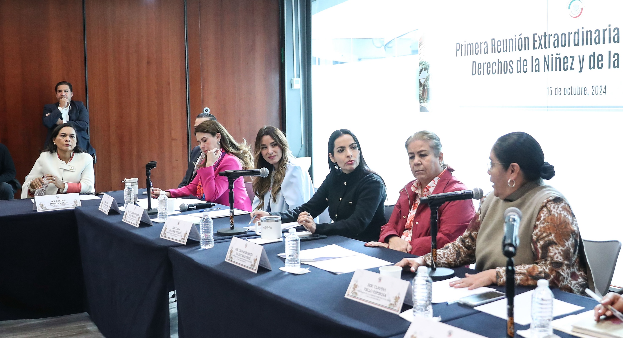 Comisioen de Derechos de la NinTez y de la Adolescencia-