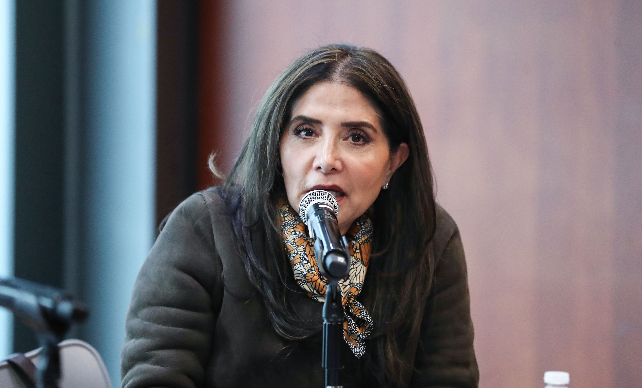 Comisioen de Derechos de la NinTez y de la Adolescencia-