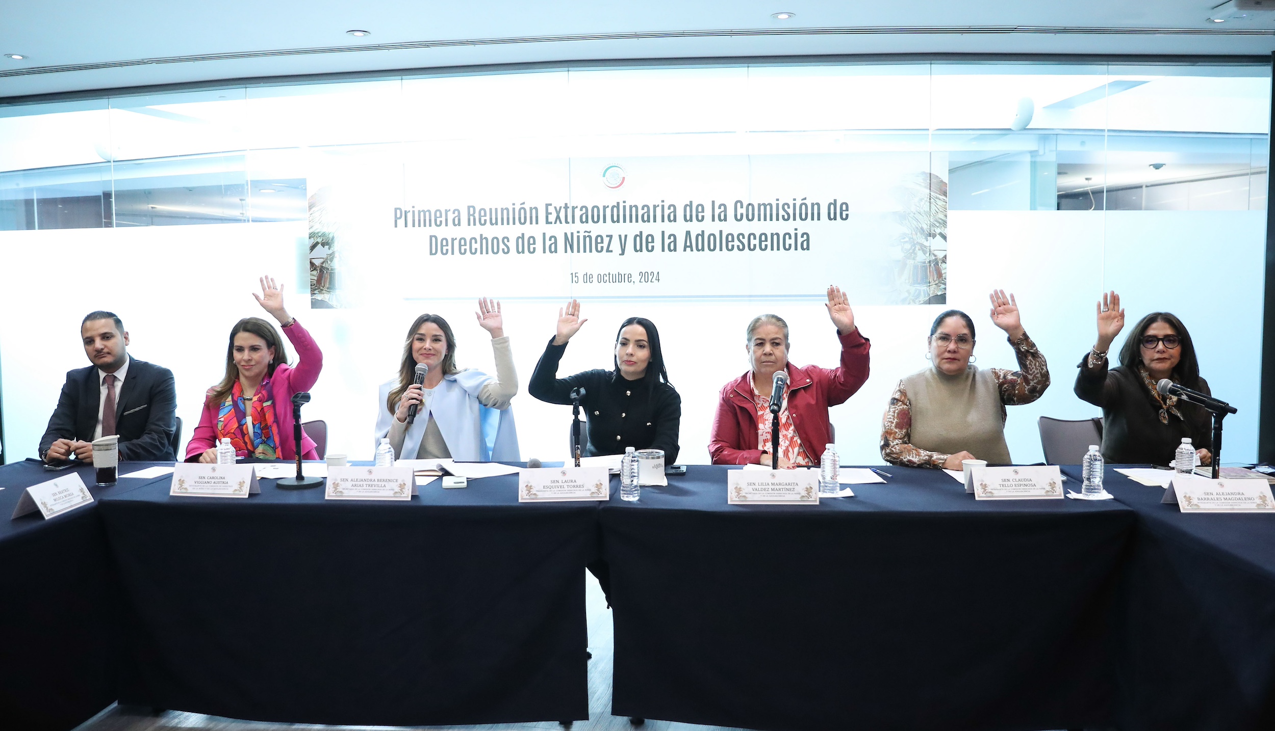 Comisioen de Derechos de la NinTez y de la Adolescencia-
