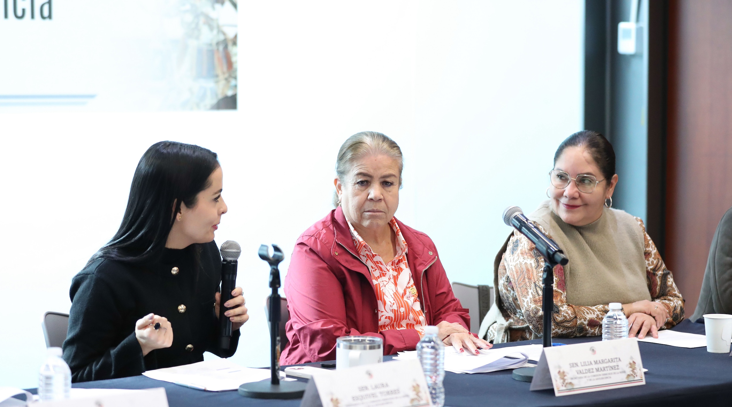 Comisioen de Derechos de la NinTez y de la Adolescencia-