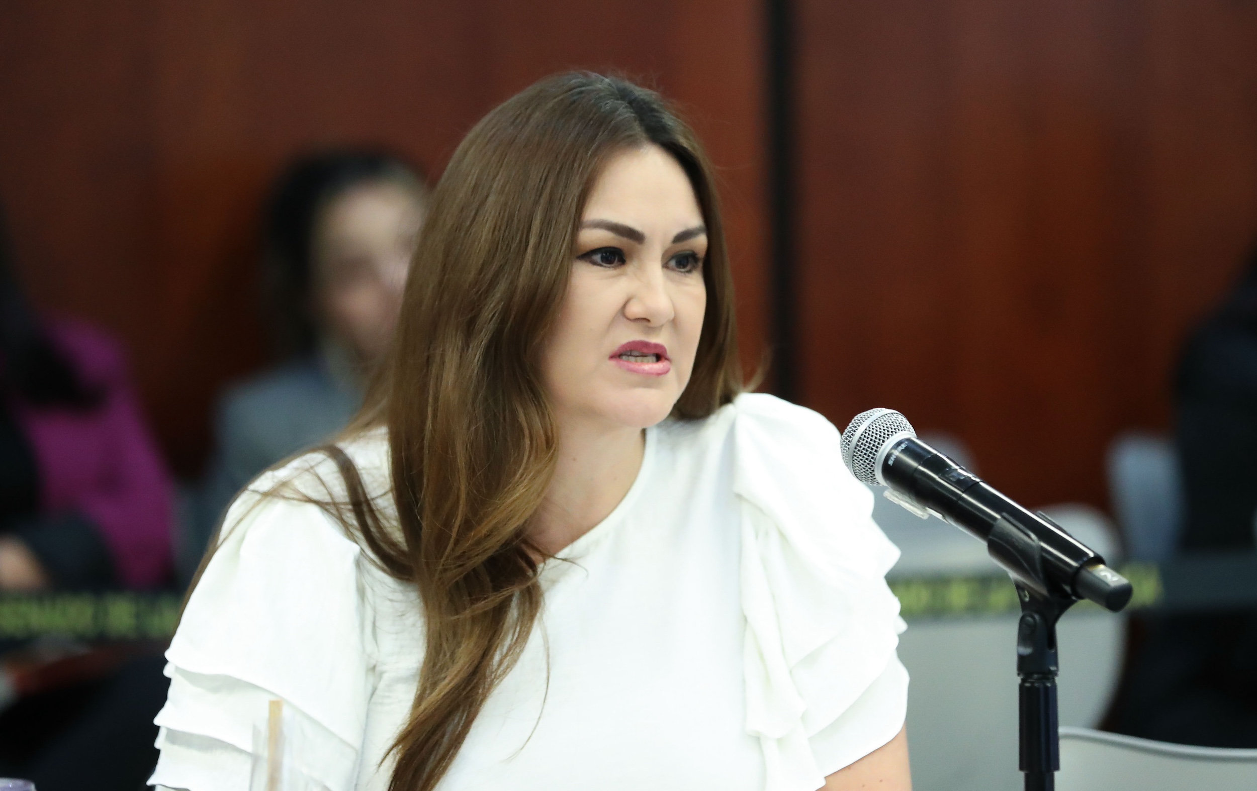 Comisiones Unidas Reordenamiento  Urbano y Vivienda -